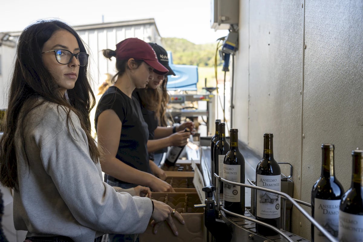 Anselmo Damonte Estate — Vineyard Pride