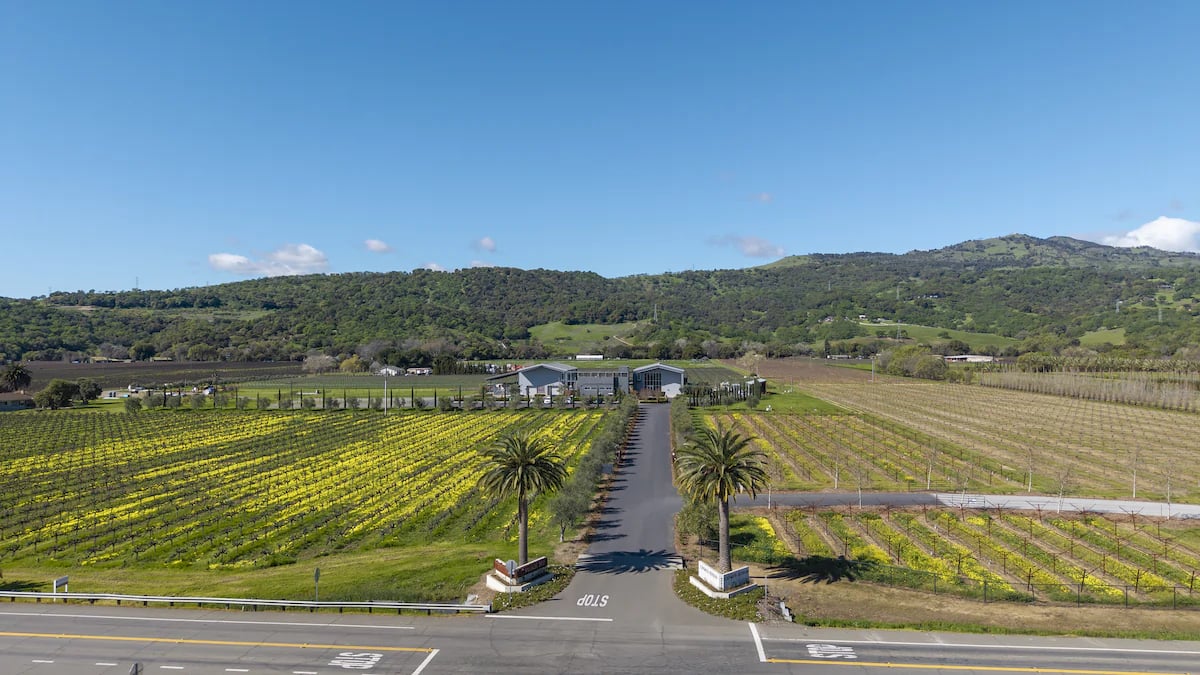 Anselmo Damonte Estate — Family Tradition