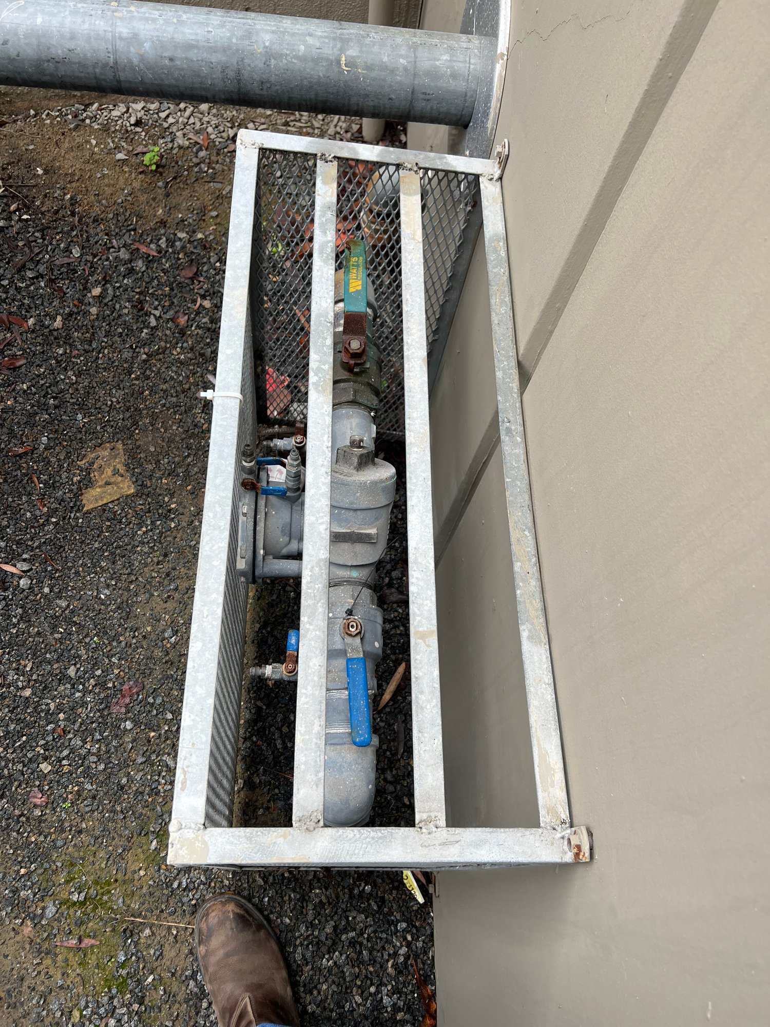 Cage-mounted backflow preventer installed on commercial building wall