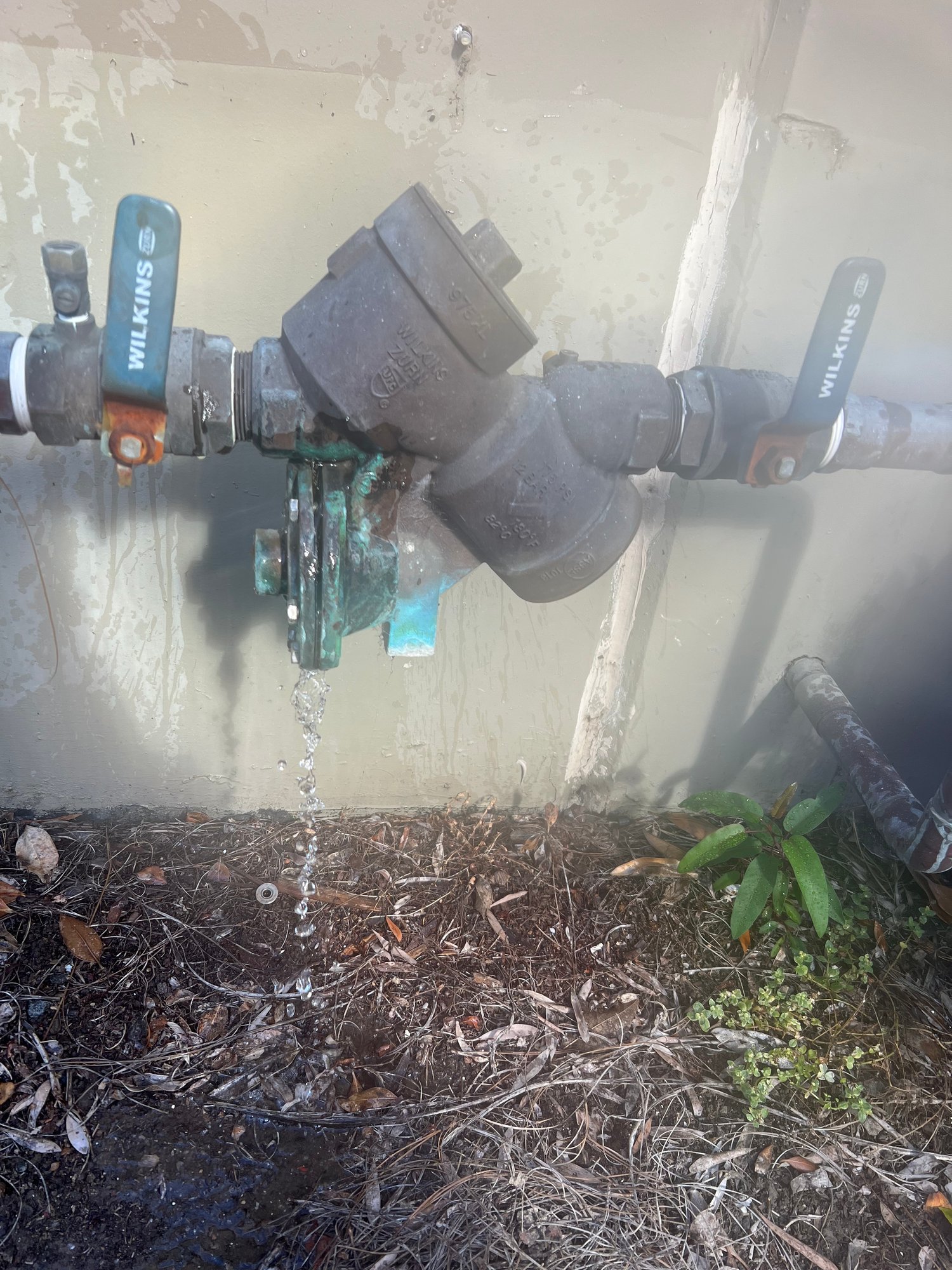 Leaking Wilkins backflow assembly being diagnosed for repair