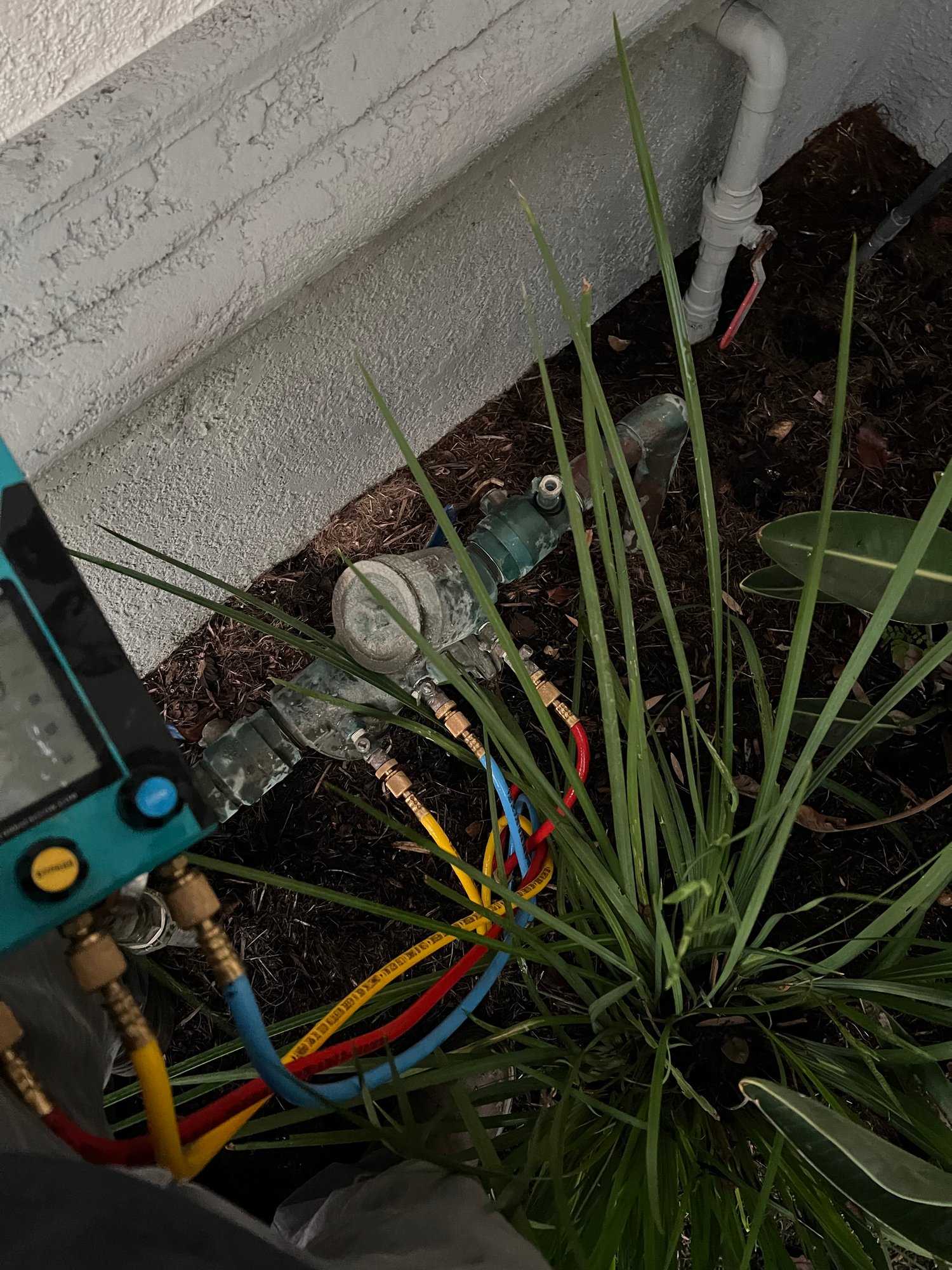 Residential backflow assembly replacement near landscaping