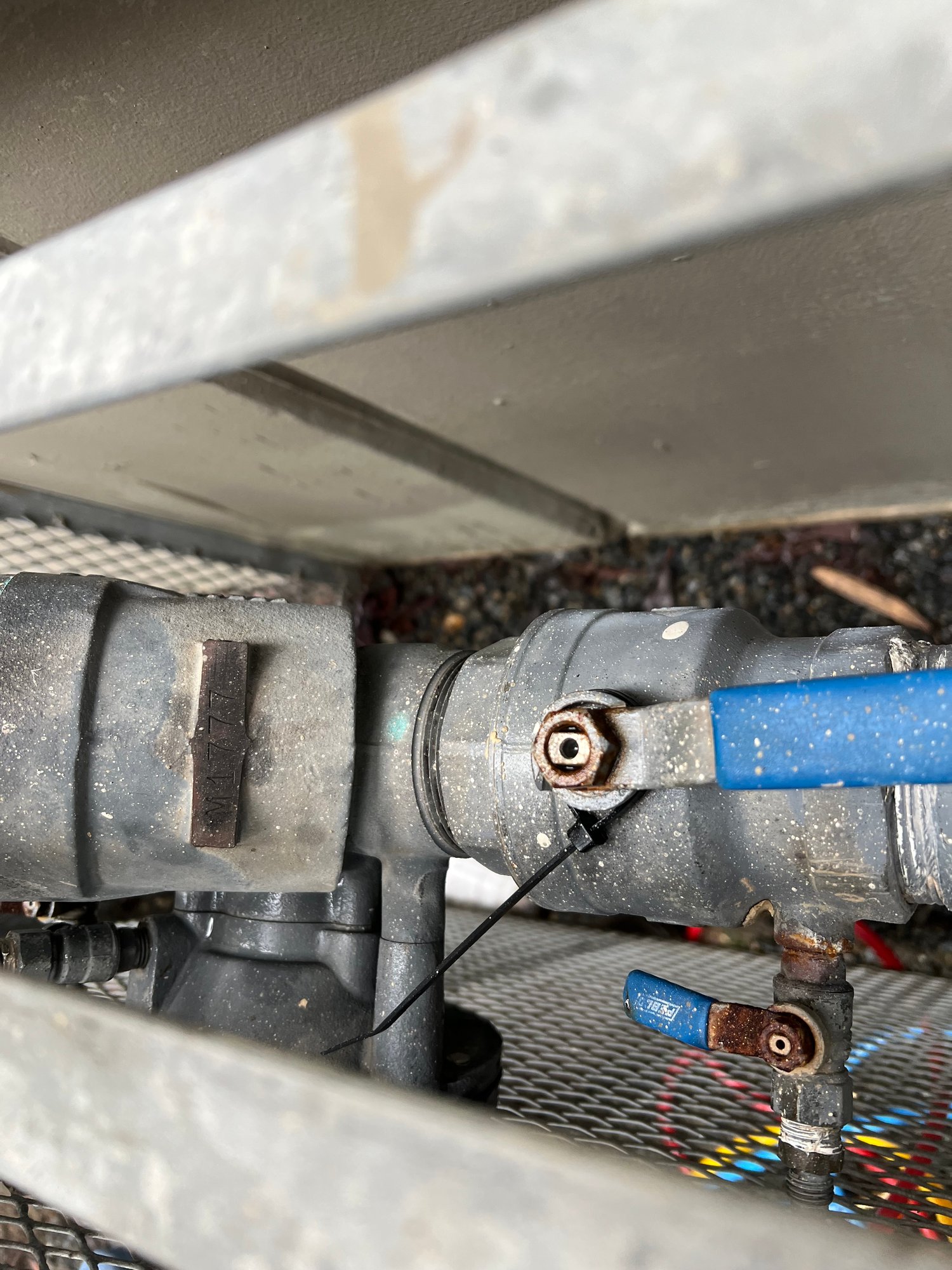 Internal components of backflow preventer being serviced