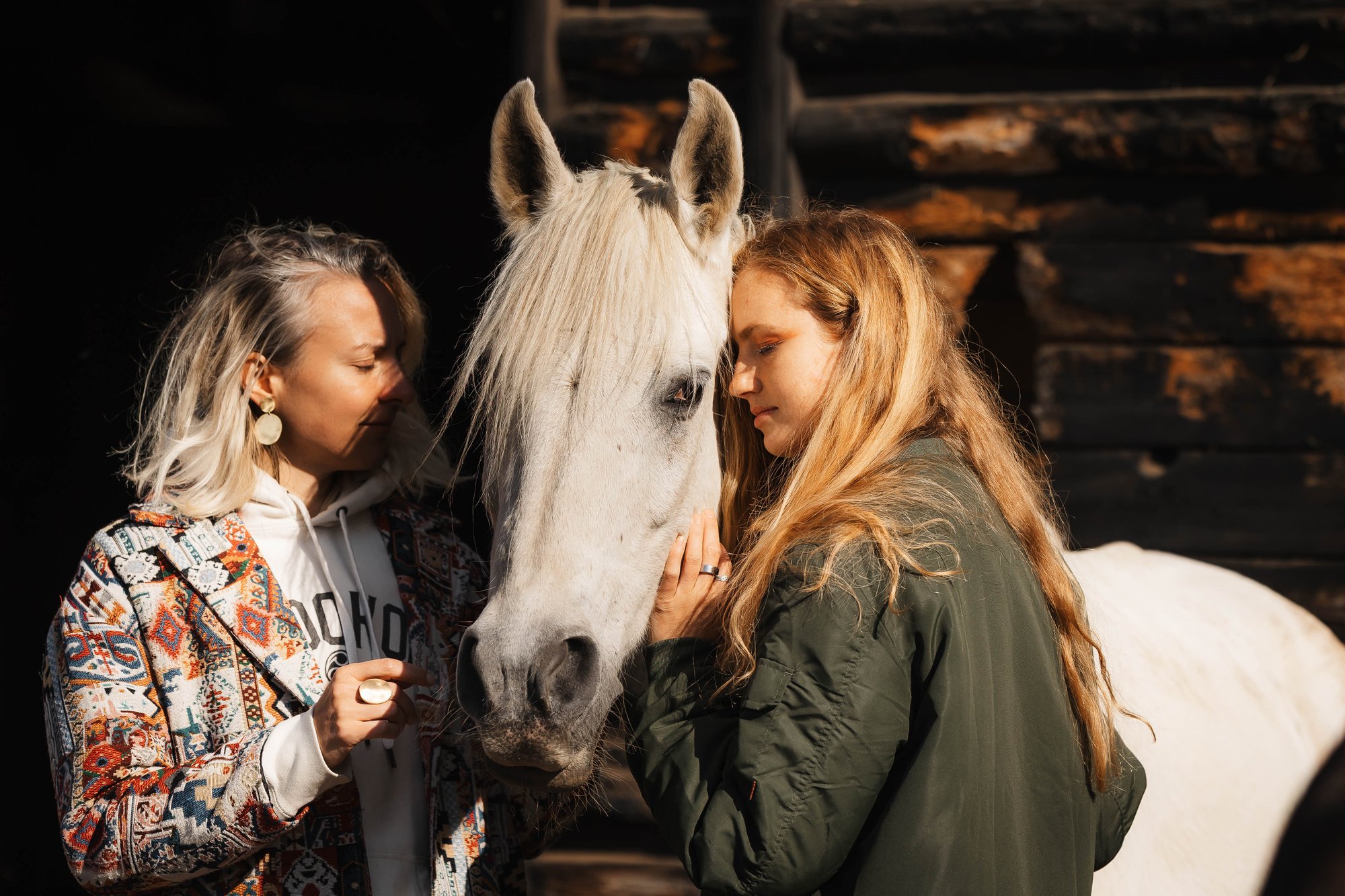 Boží koně — koně na retreatovém centru Boží