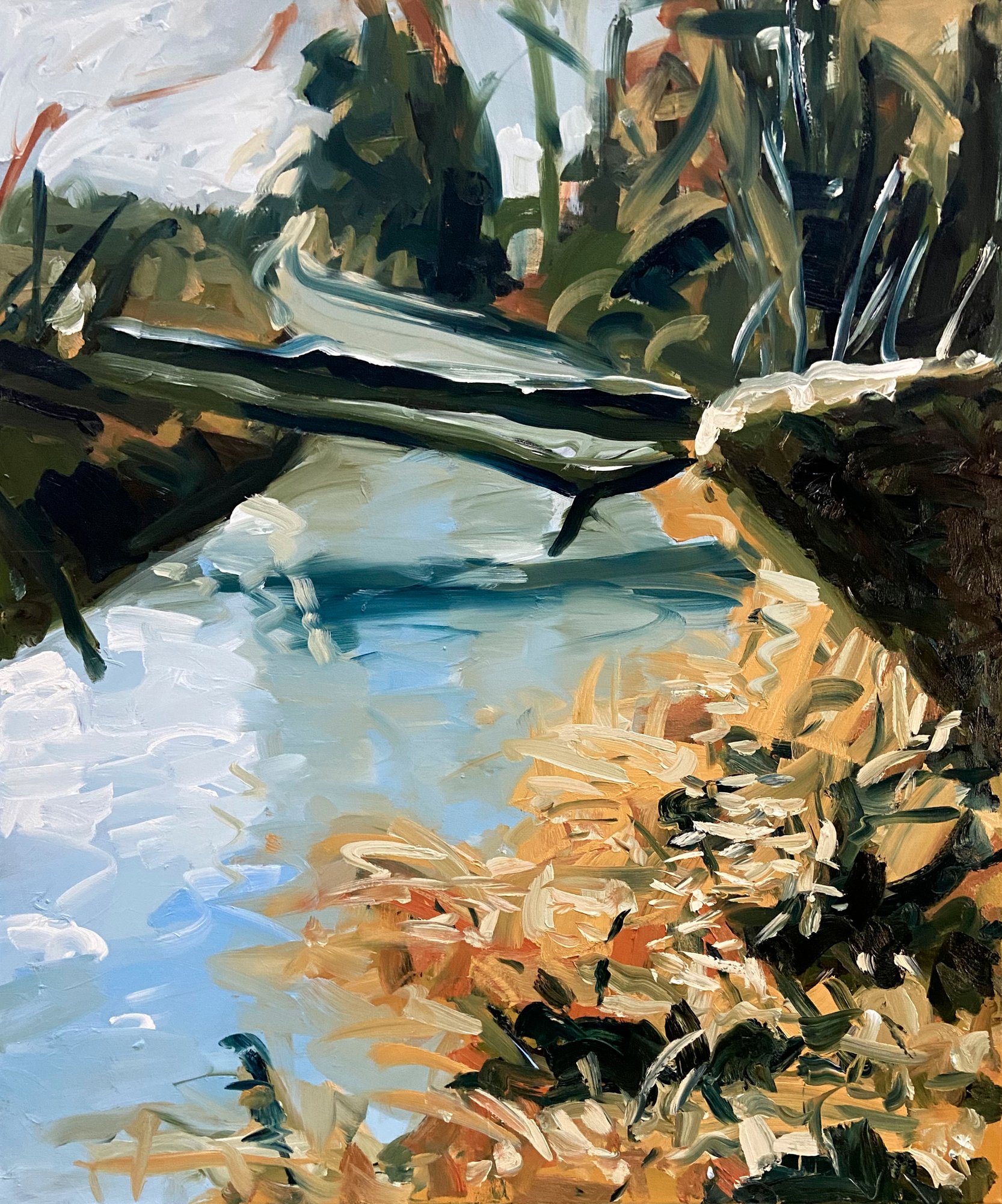A Walk Along the River 2