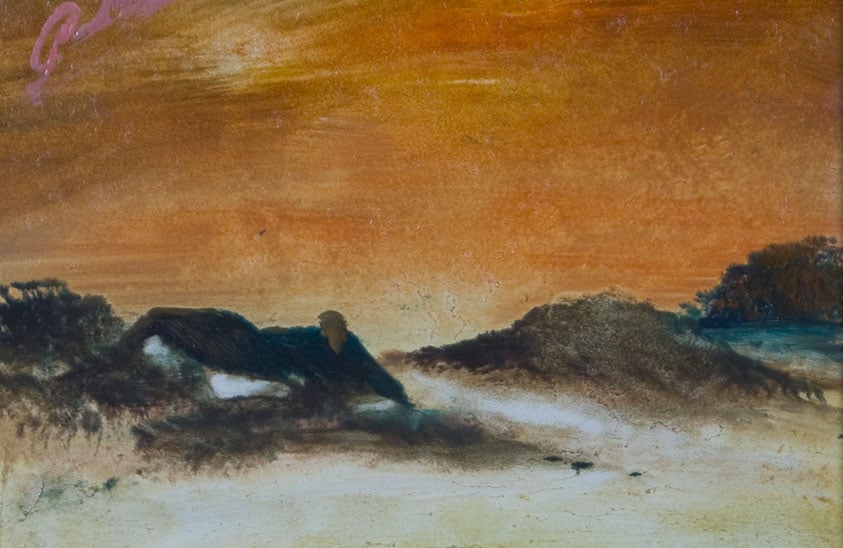 Huisje in de duinen