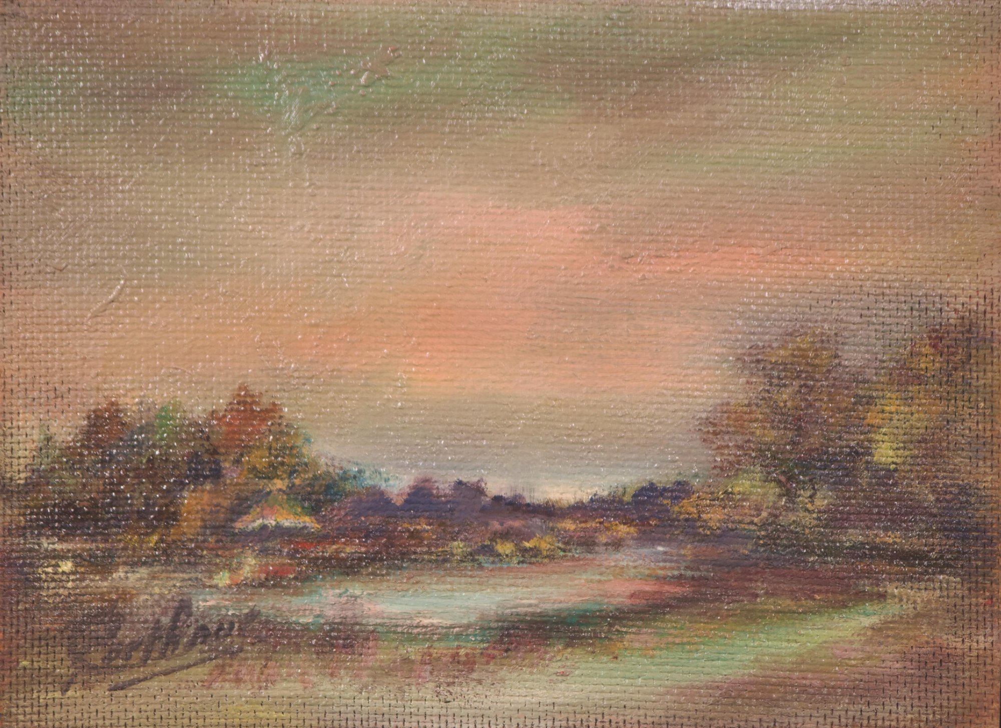 Wandelweg langs de vijver