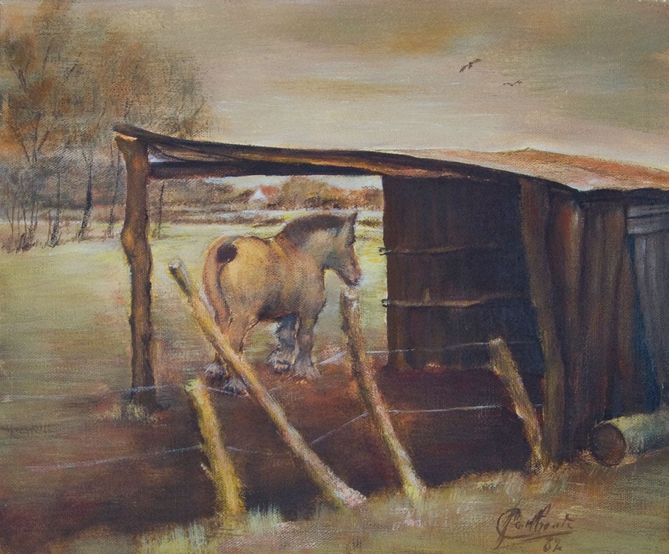 Paard bij de stal