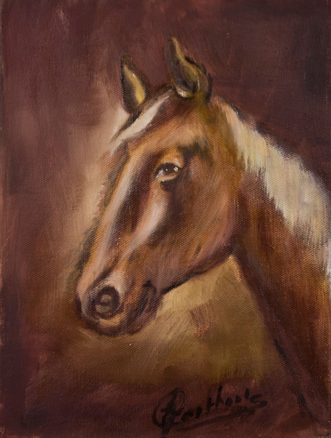 Paardenhoofd