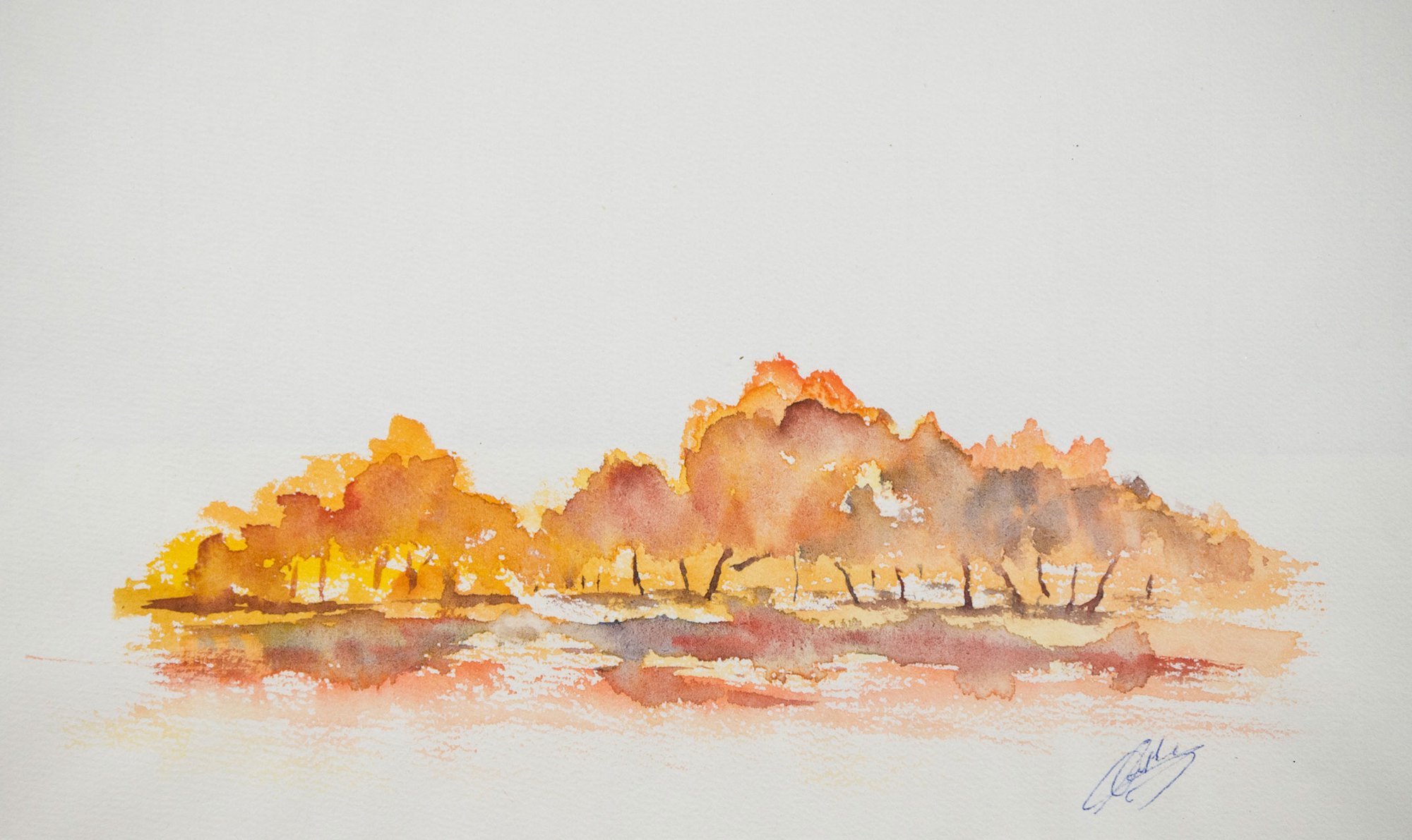Doorheen de bomen