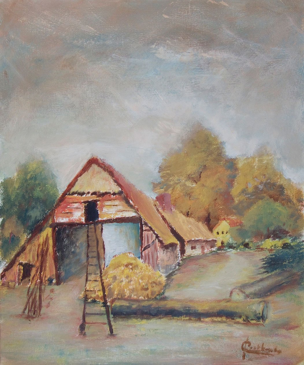 Ladder bij schuur