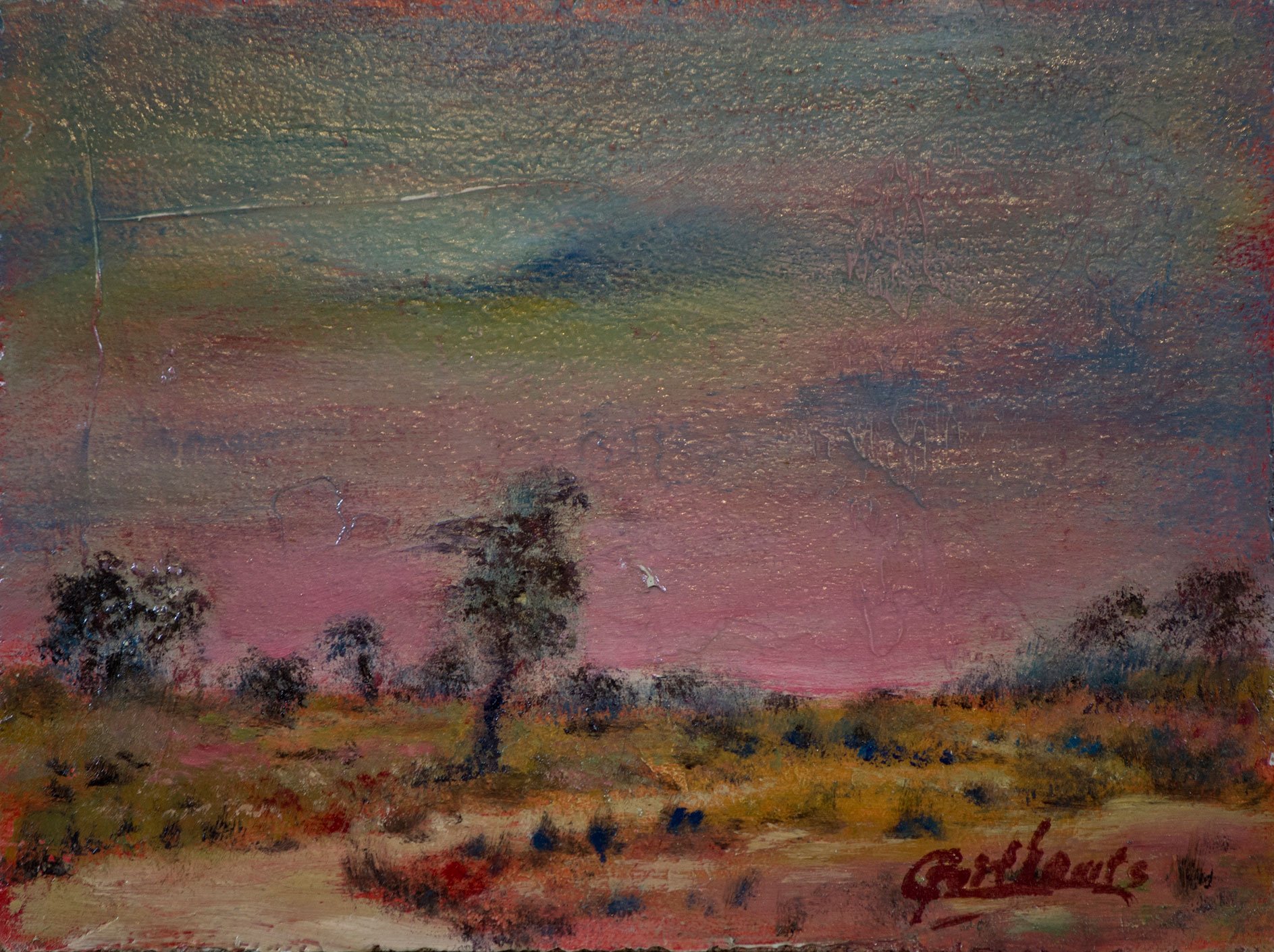 Morgengloed over de heide