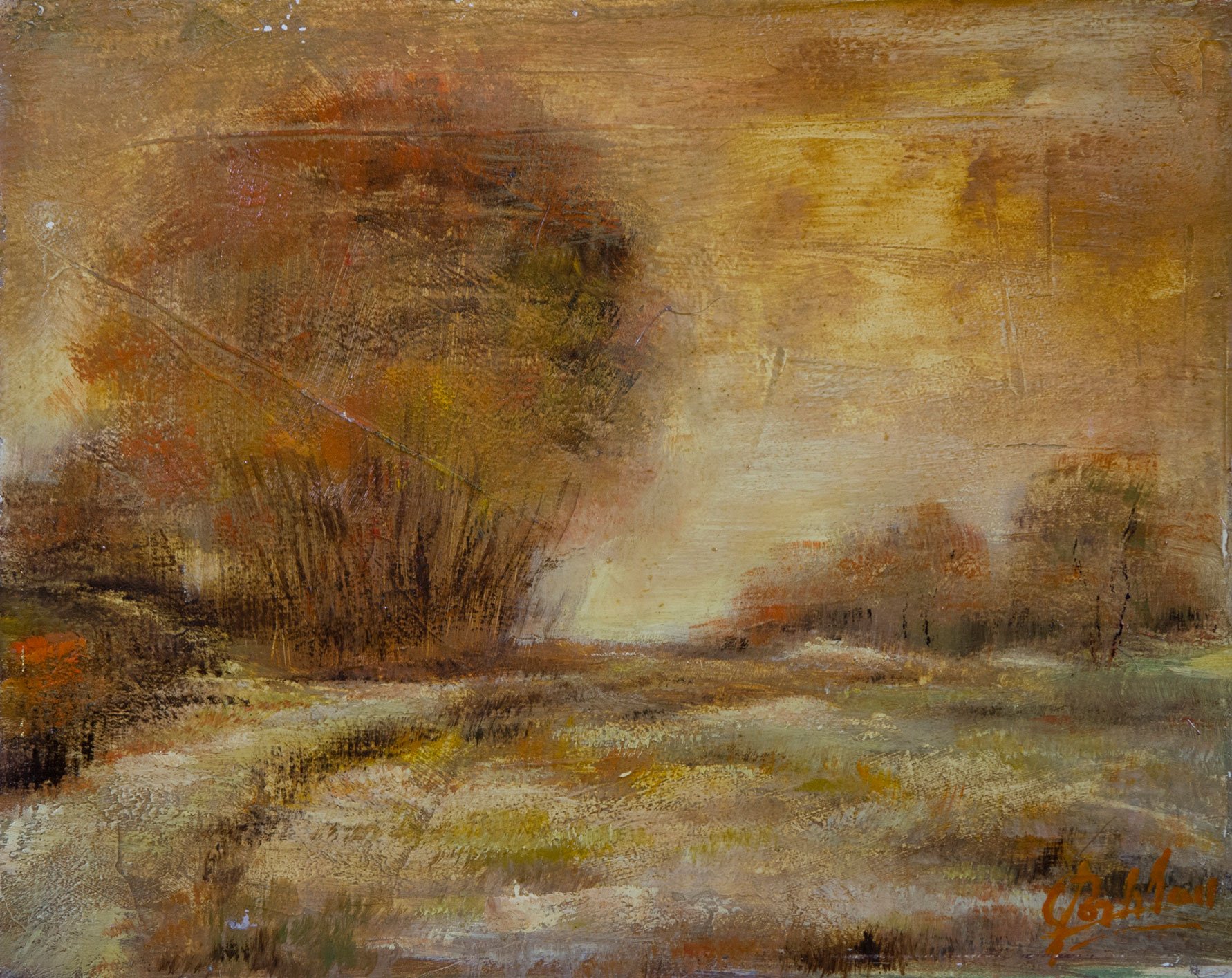 Vriendelijk landschap