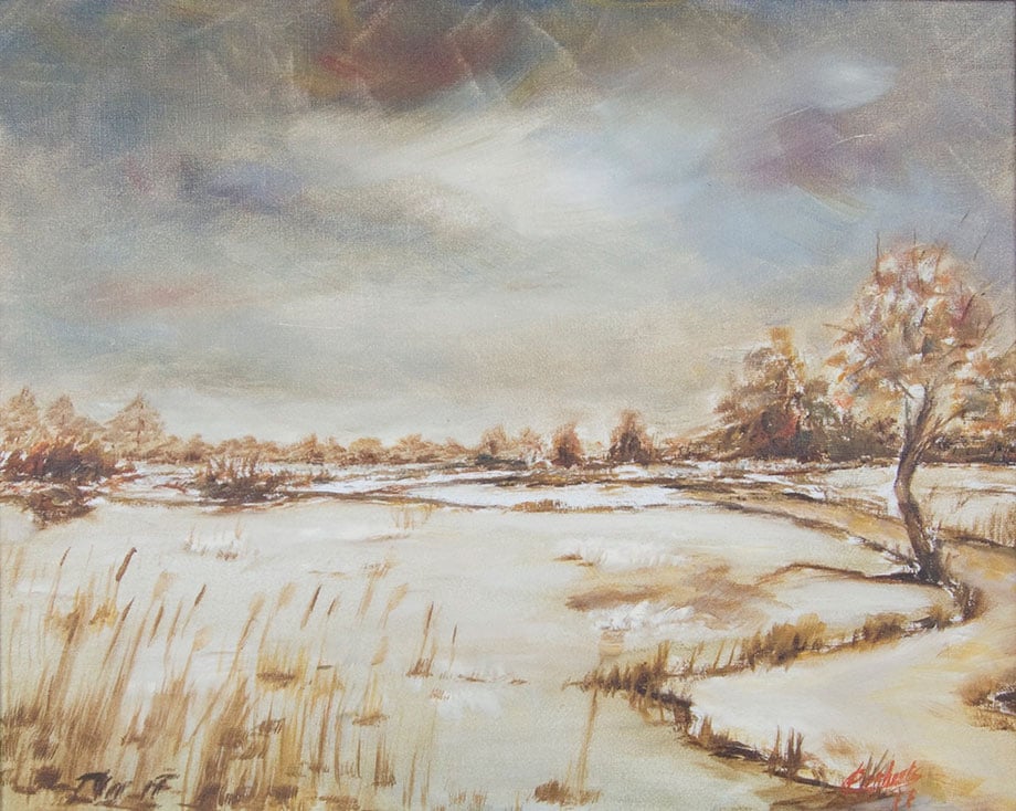 Wintervlakte