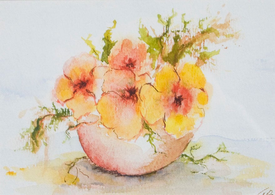 Oranje viooltjes in rode pot
