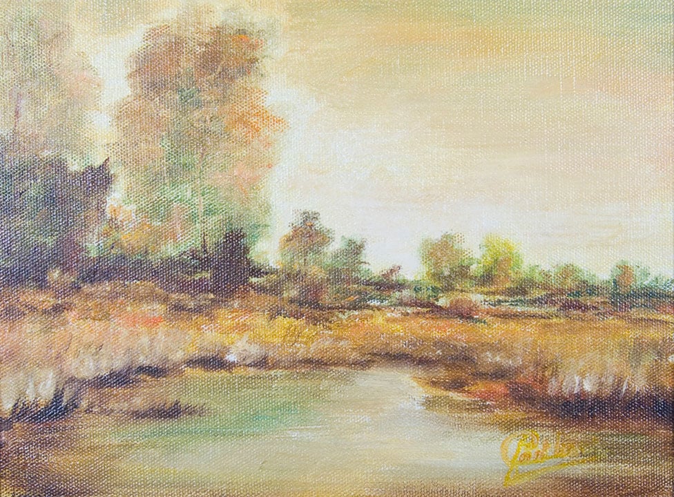 Het Veen
