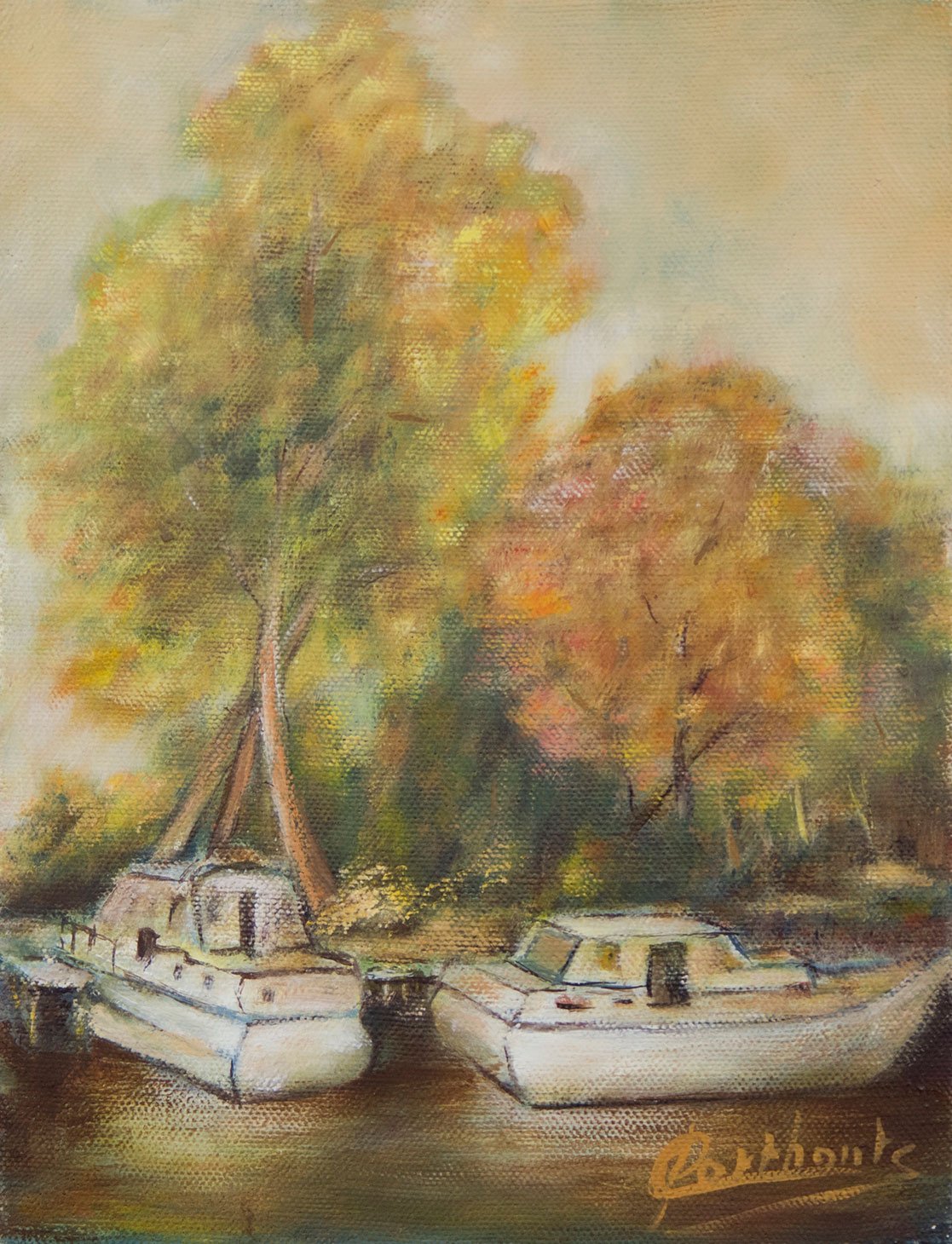 Plezierbootjes
