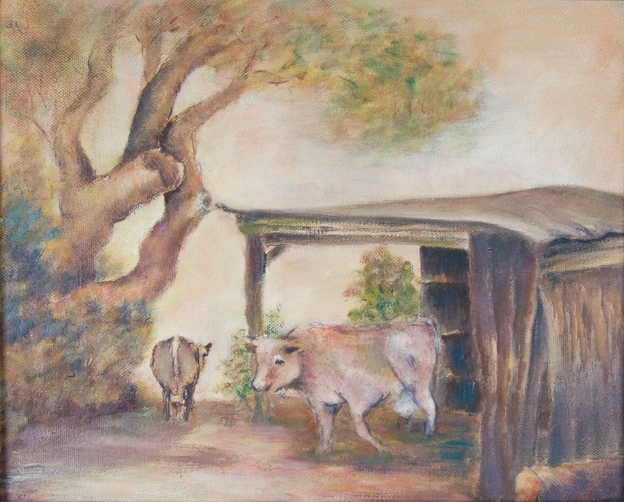 Koeien bij de stal