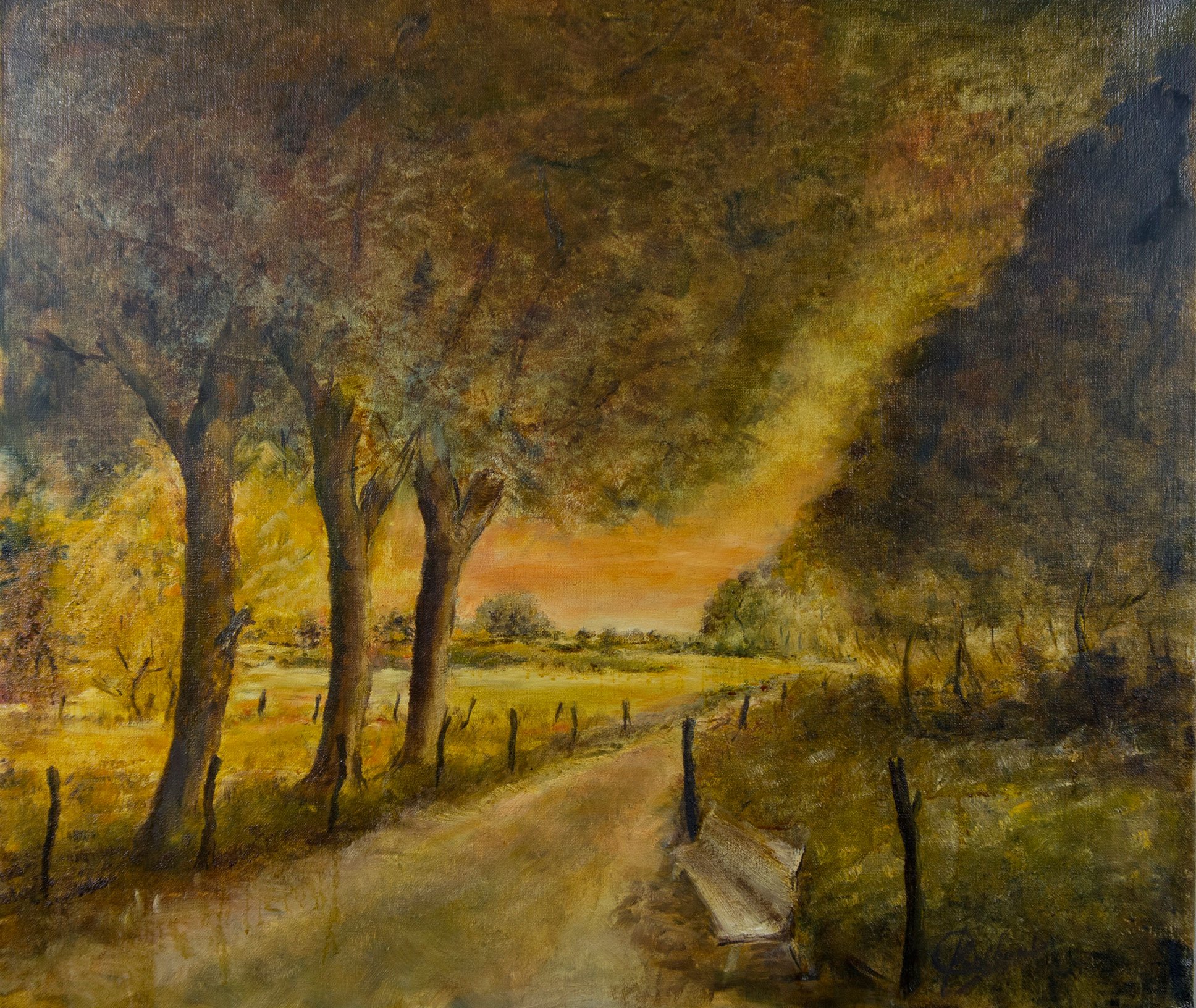 Rustbankje aan de bomen