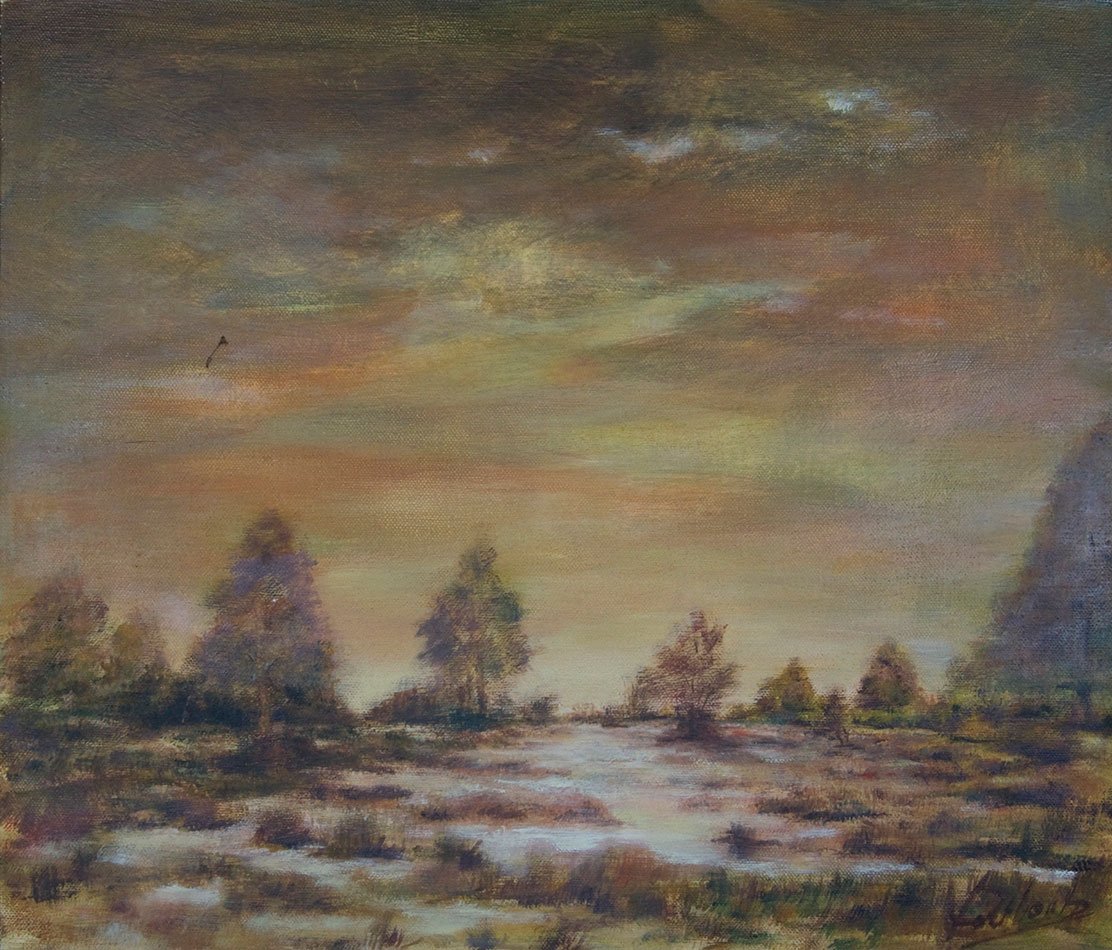 Schrale heide