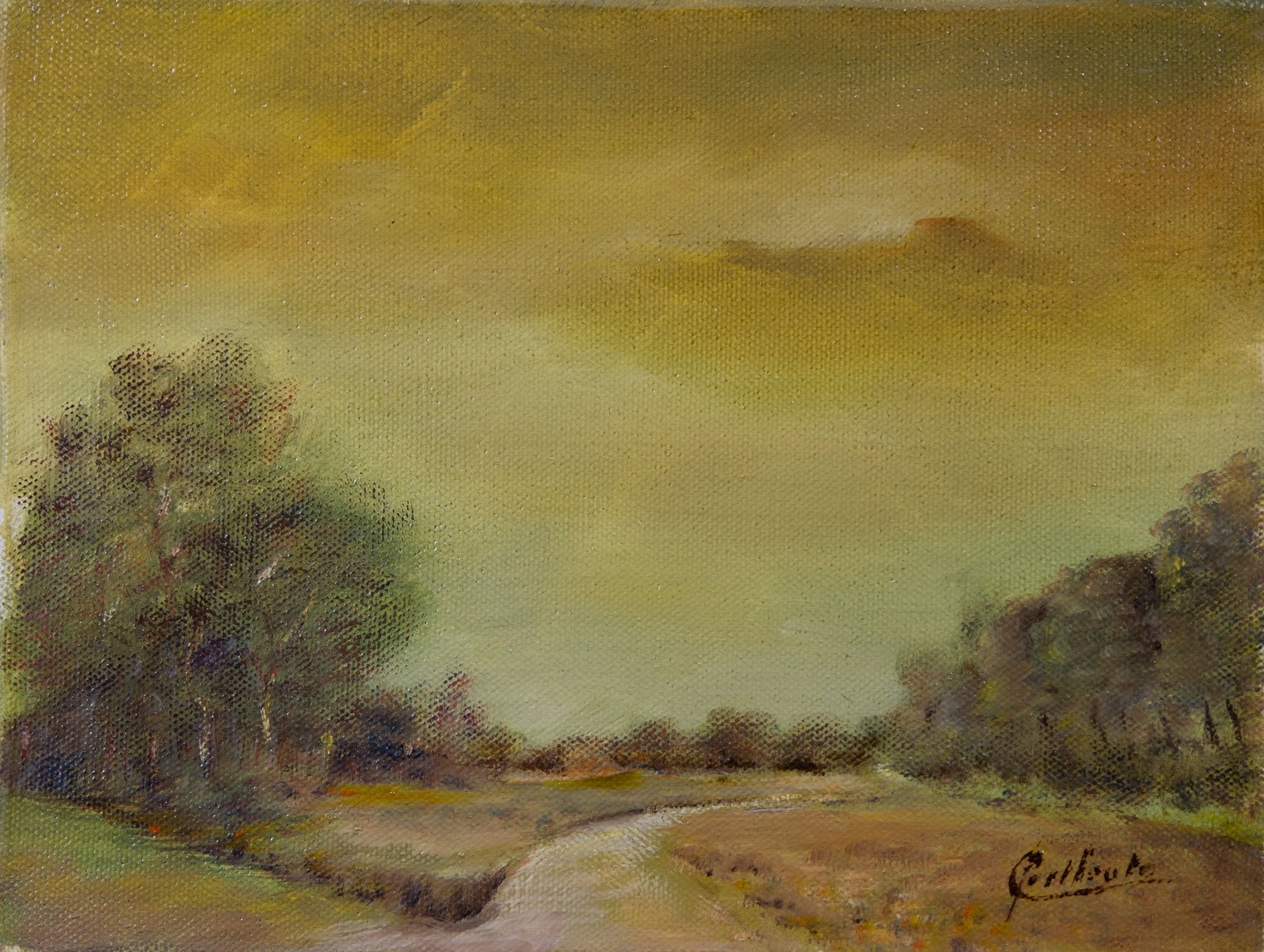 Open landschap