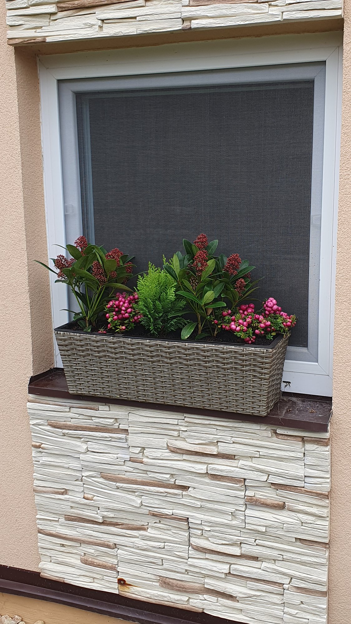 Podzimní výsadba – Planá nad Lužnicí