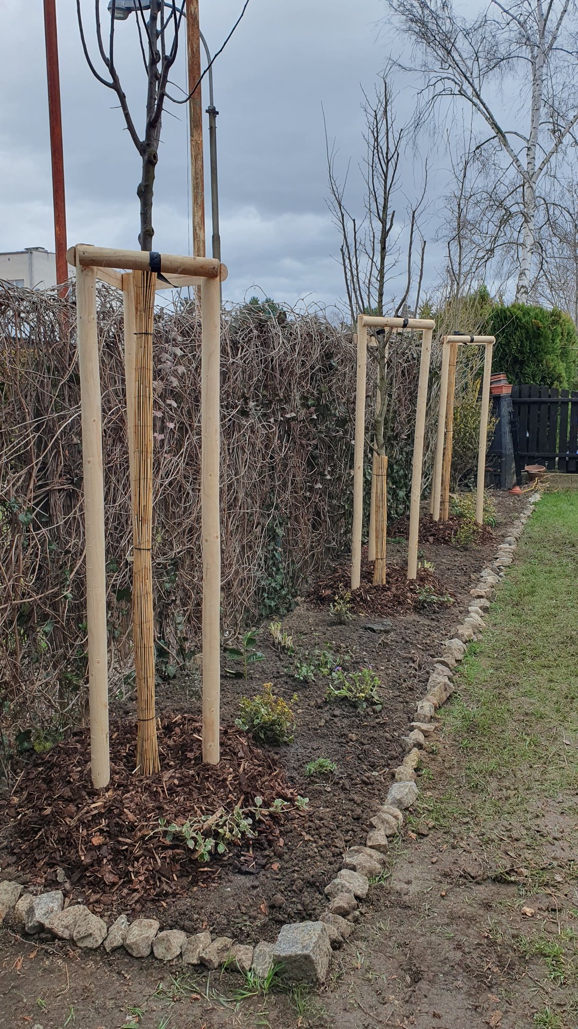 Výsadba ovocných stromů – Tábor