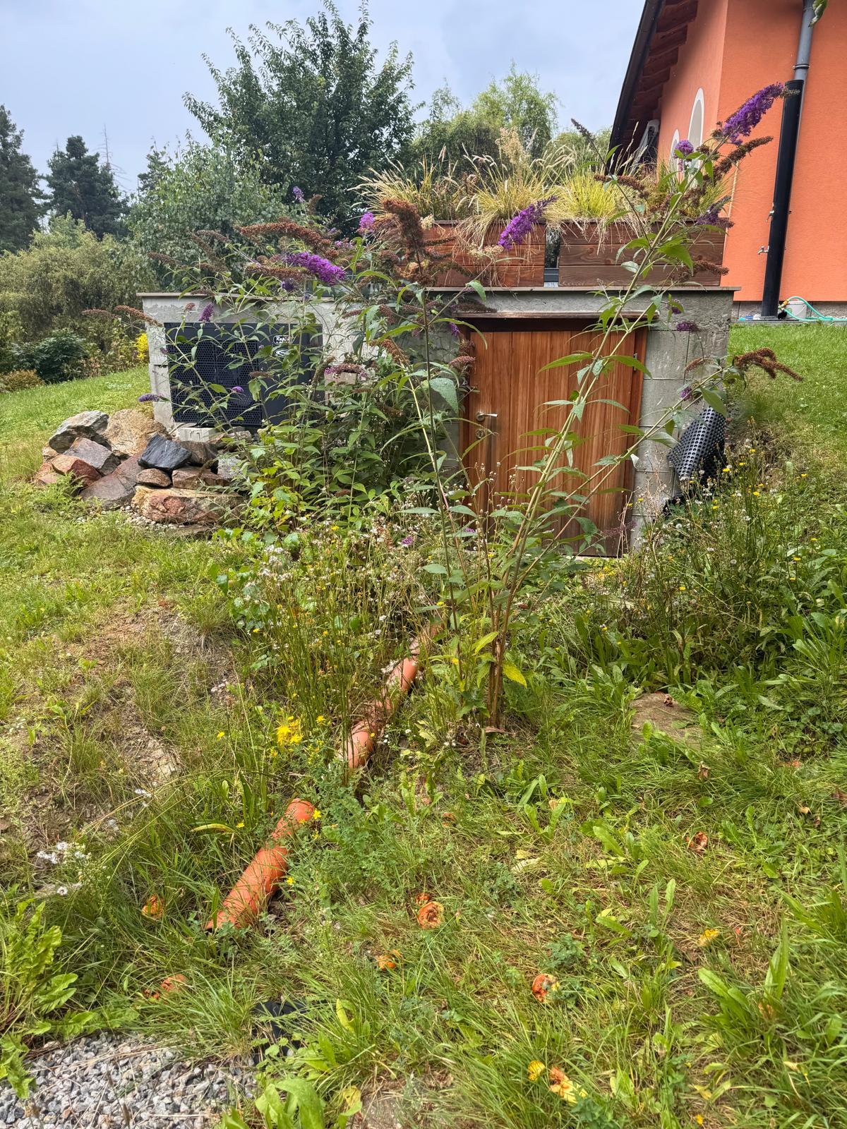 Zarostlý záhon s cestou před realizací – České Budějovice