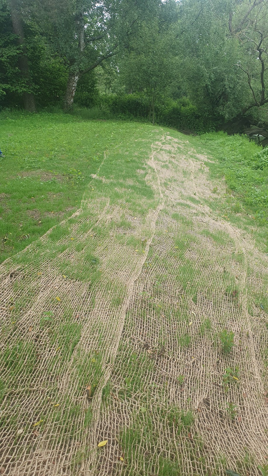 Terénní úpravy, zpevnění svahu – Soběslav