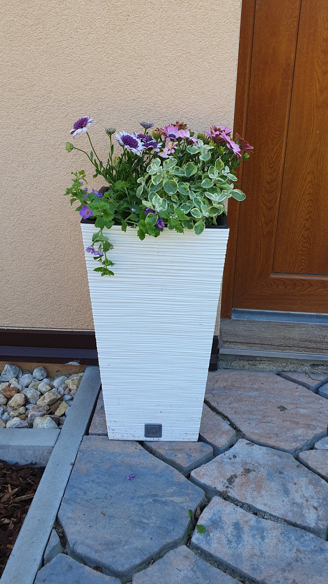 Osazení květináčů – Planá nad Lužnicí