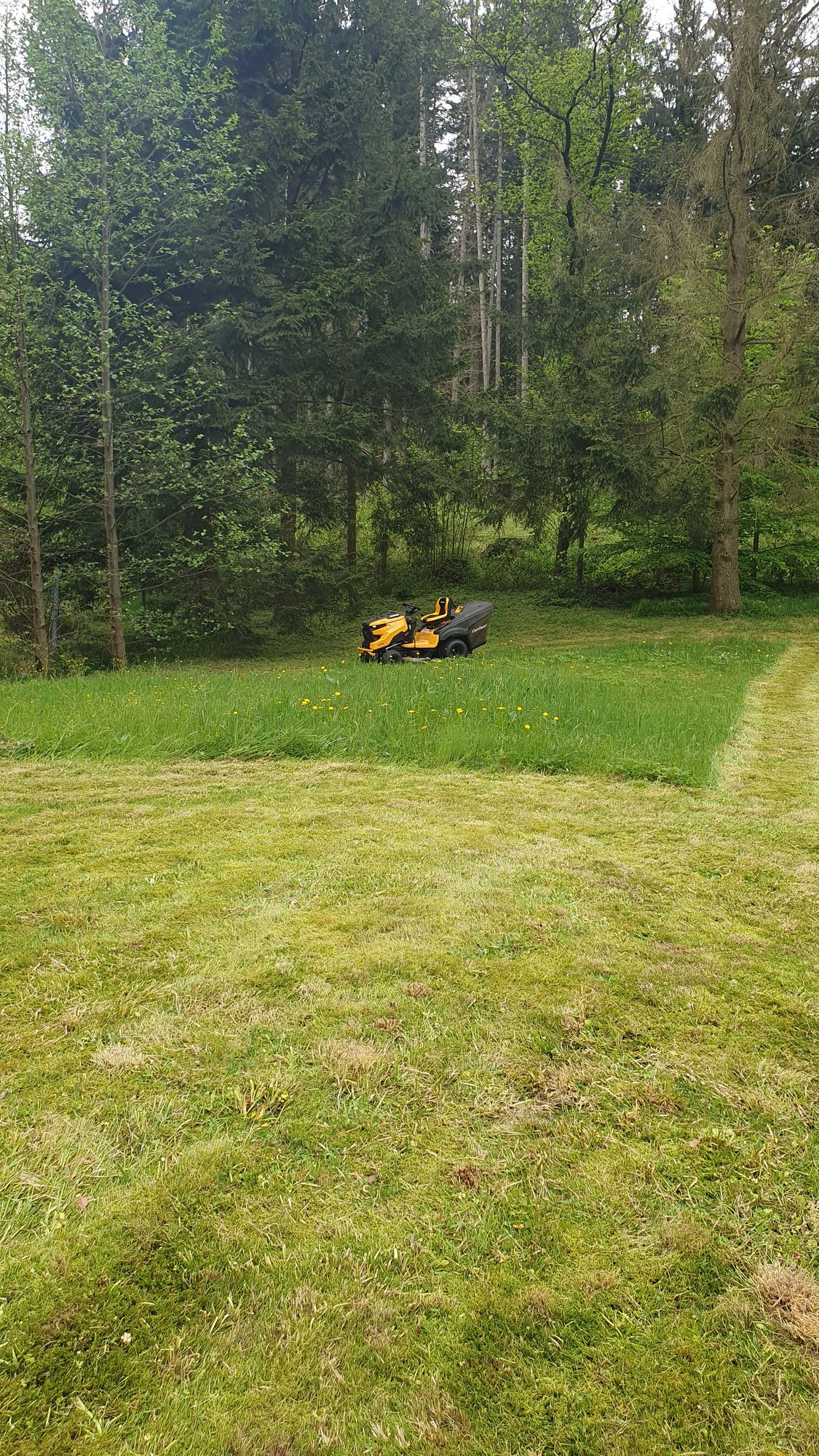 Pravidelné sečení trávy – Tábor