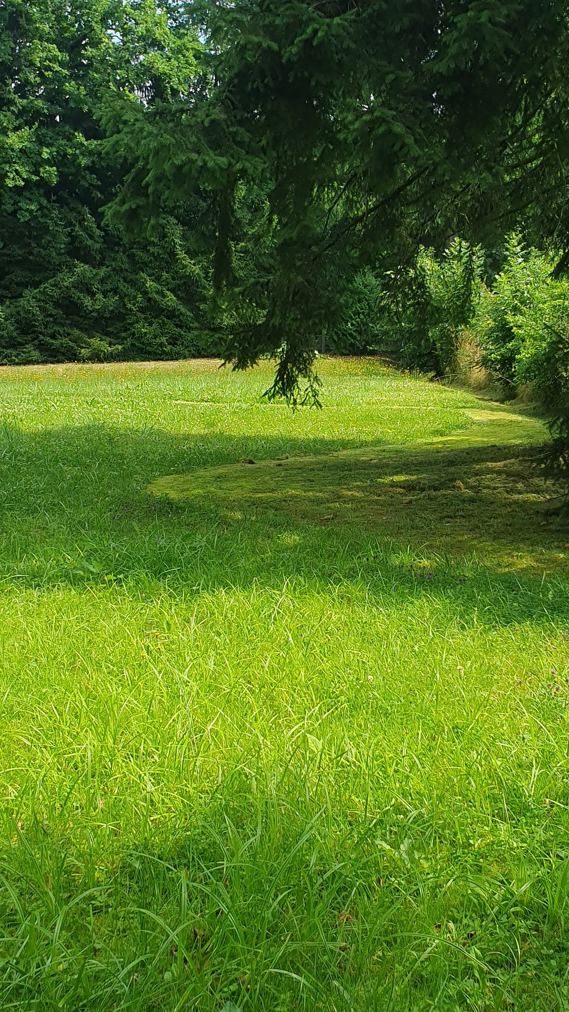 Sekání vysoké trávy – Planá nad Lužnicí