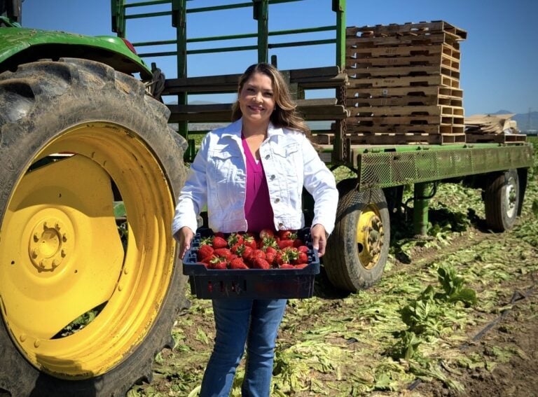 Maribel Aguilera at a strawberry farm