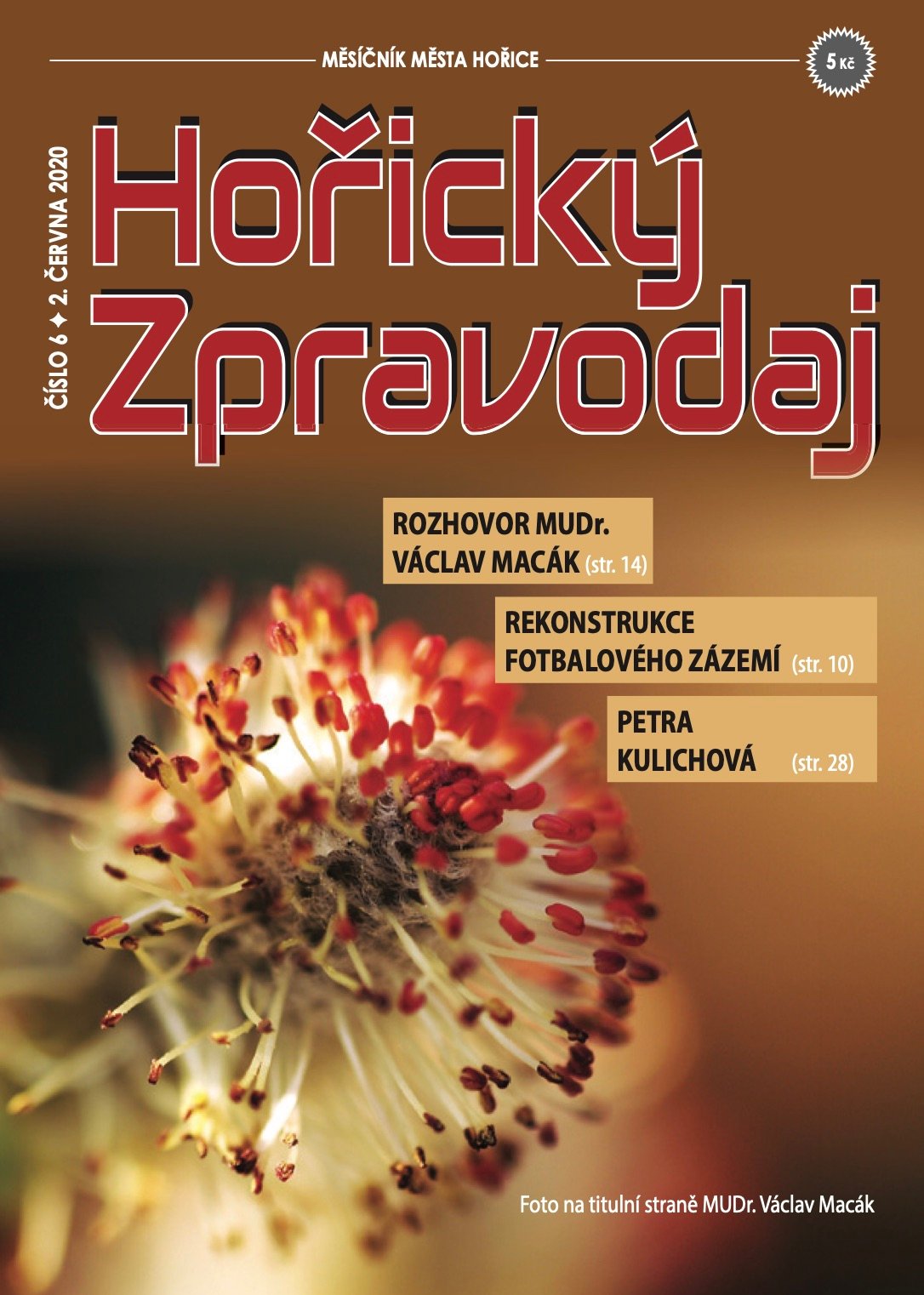 Obálka Horického zpravodaje — Červen 2020