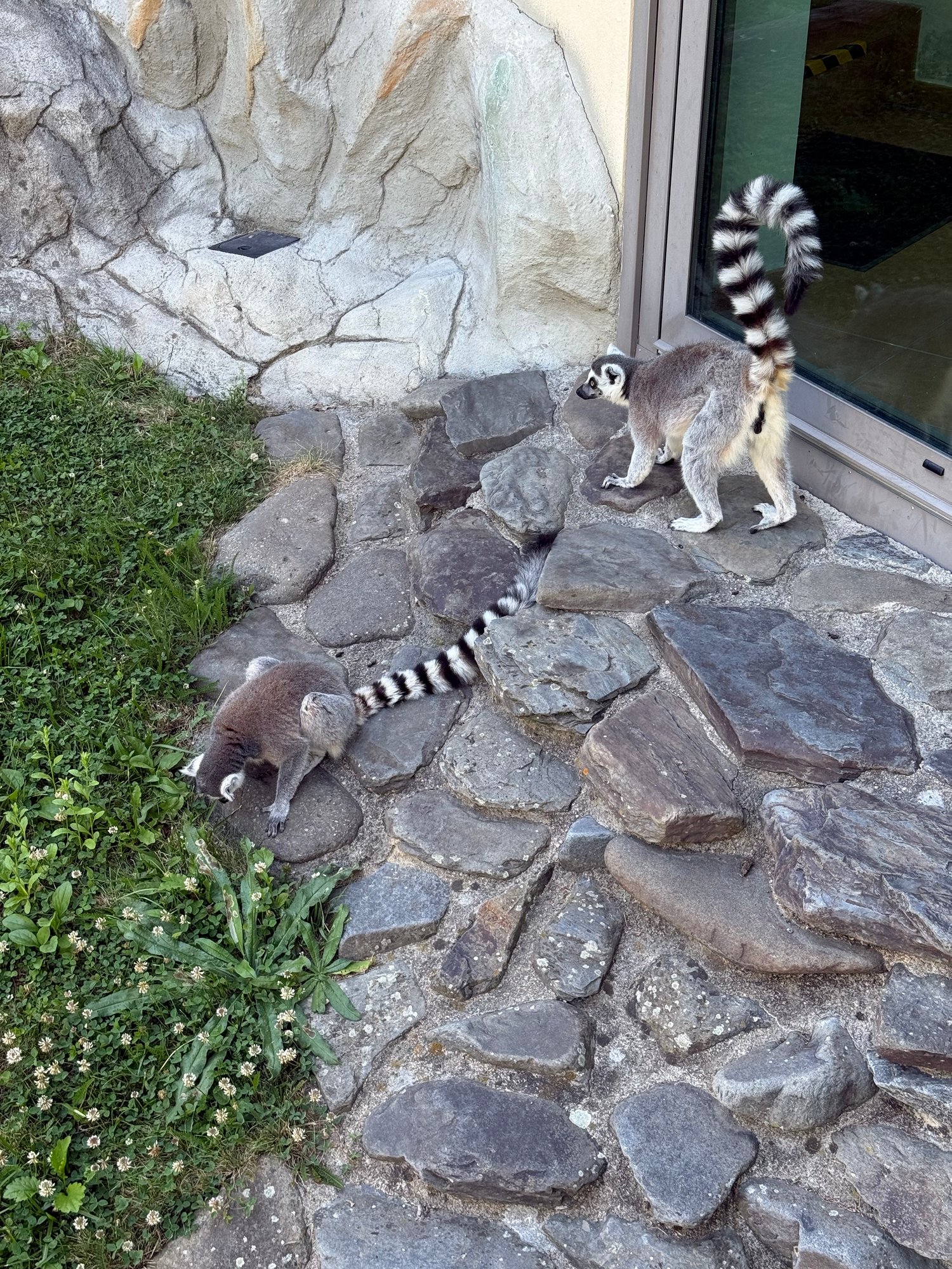 Zoo Olomouc