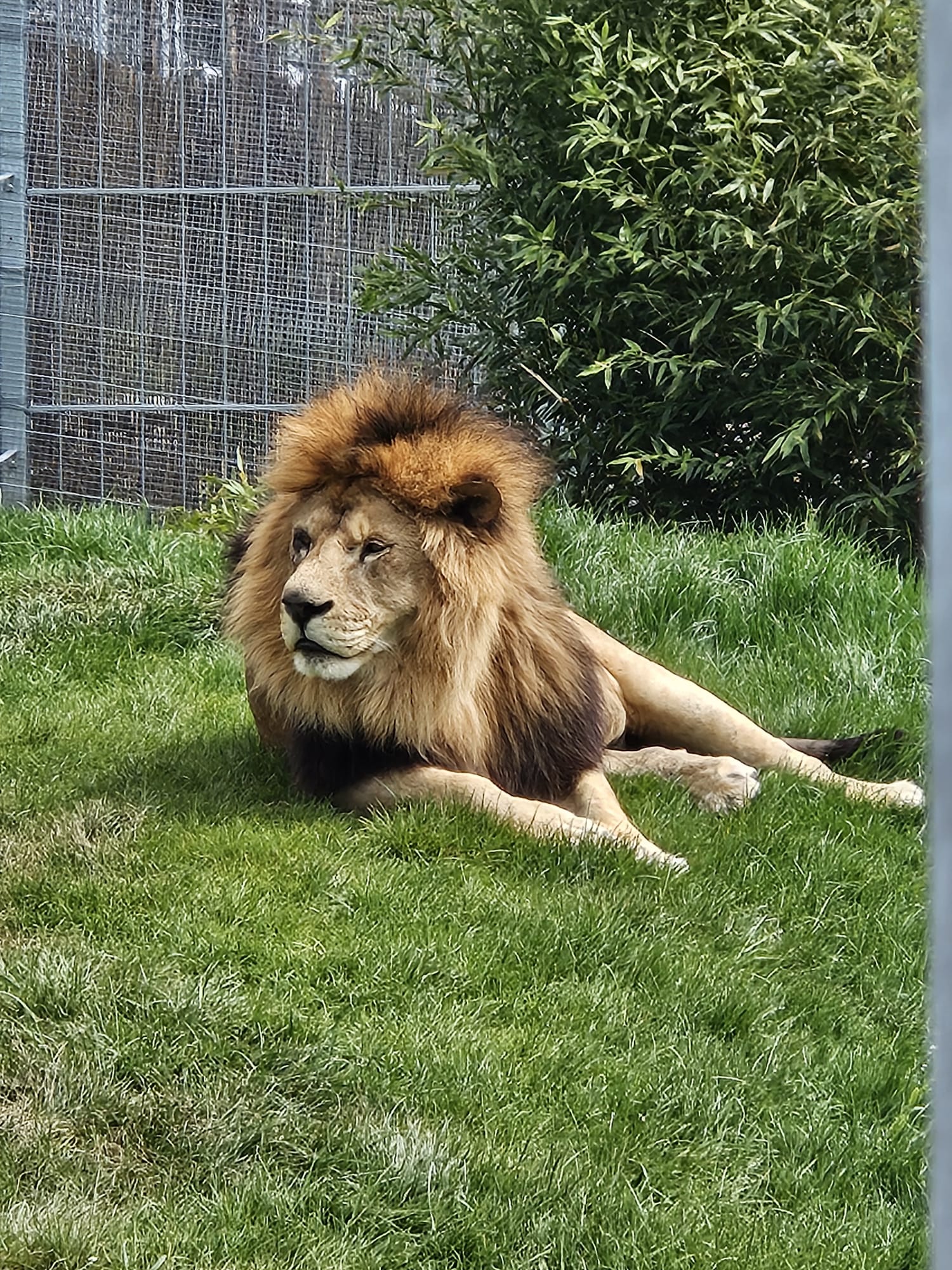 Zoo Písek