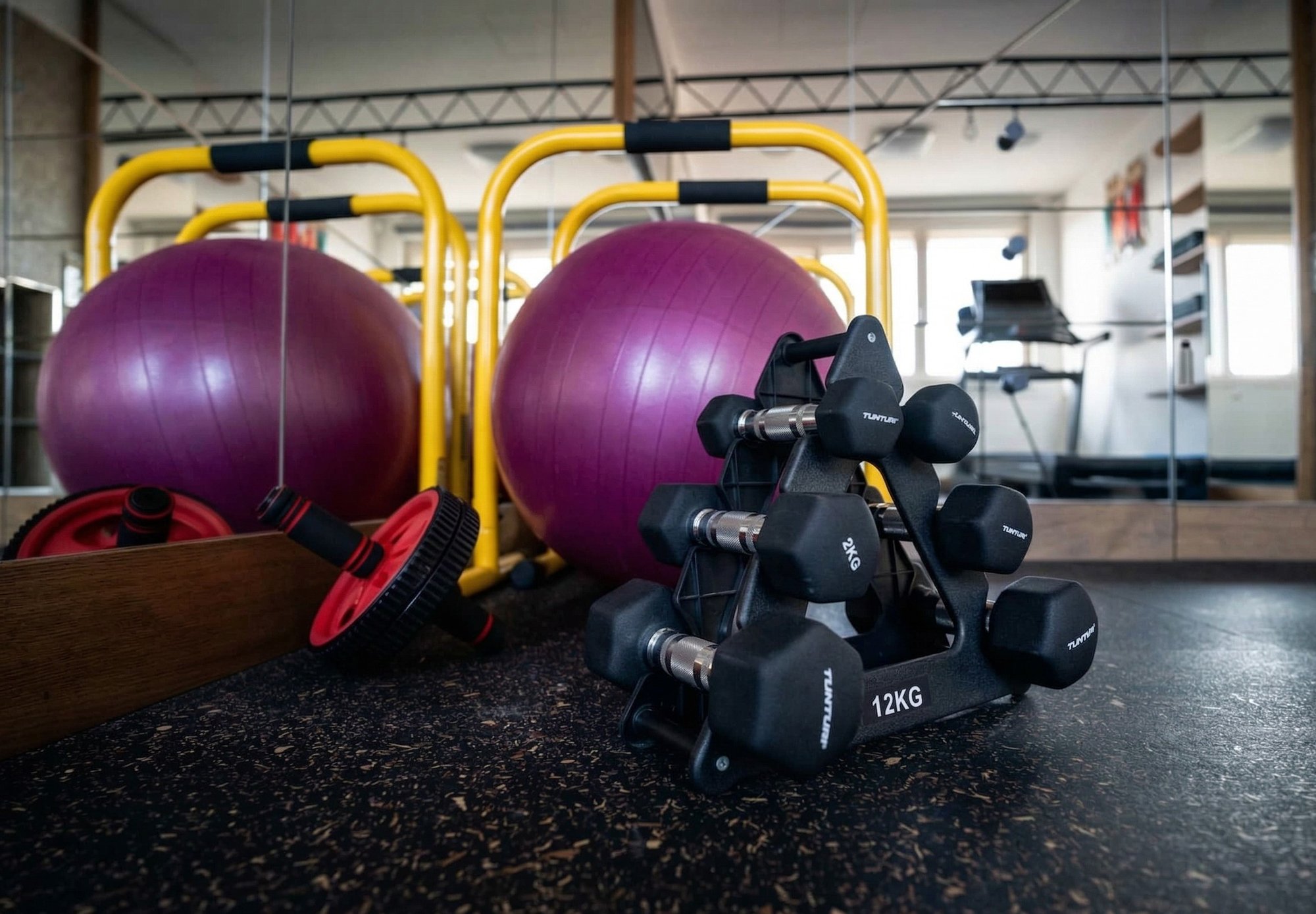 Private fitness studio with treadmill and weights