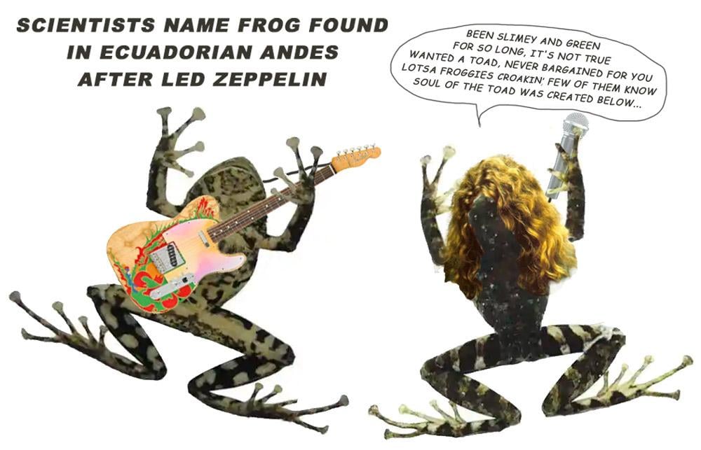 LZ Frog — Musictoons cartoon by Peter Gillies