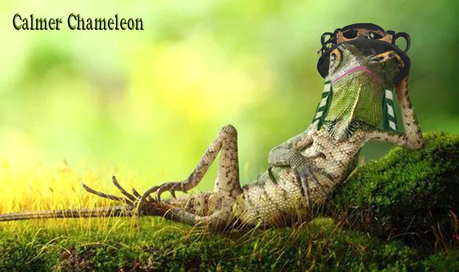 Calmer Chameleon — Musictoons cartoon by Peter Gillies