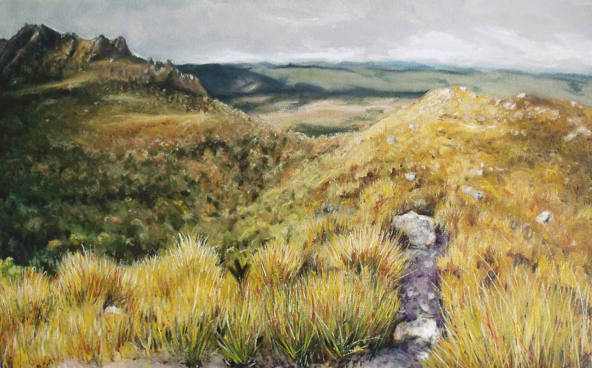 Gordon River Valley — Paintings by Peter Gillies
