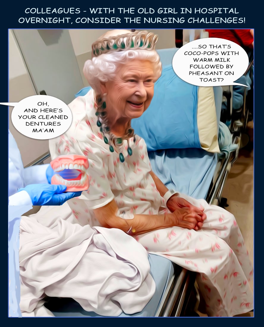 Queen Inpatient — Recycled cartoon by Peter Gillies