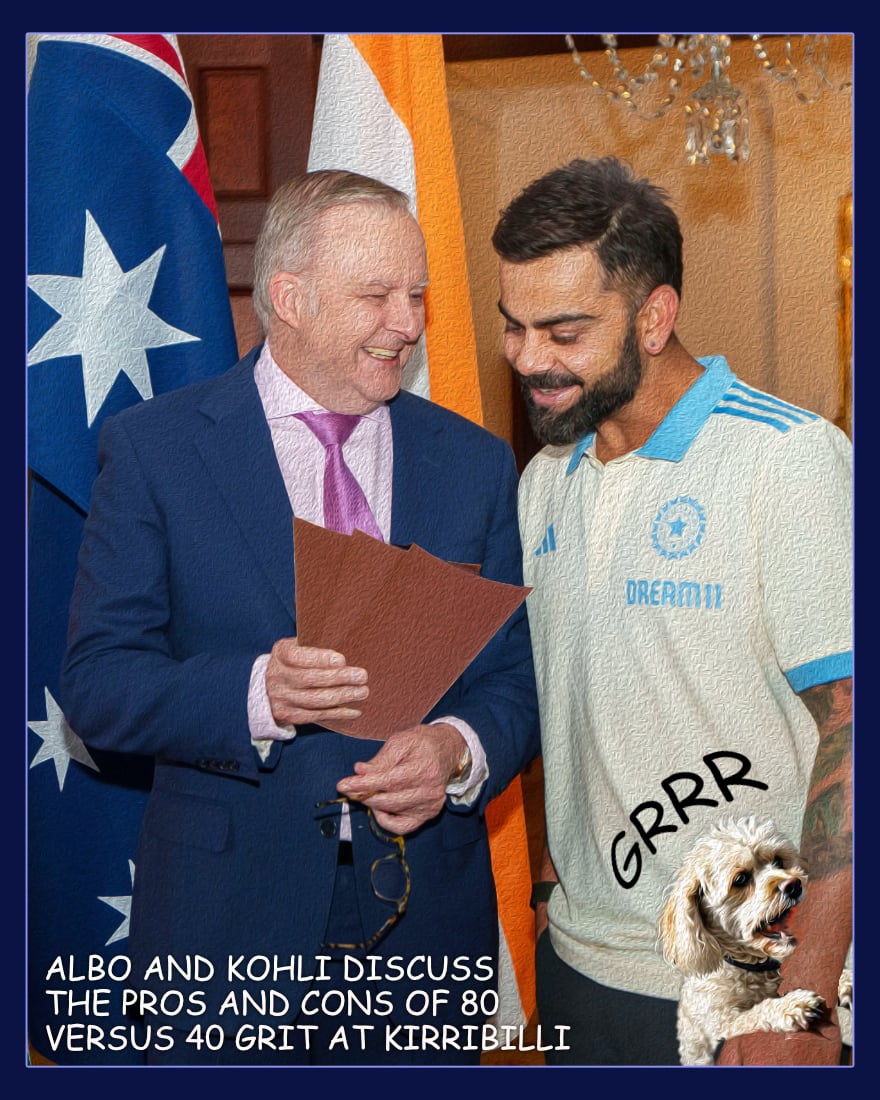Albo and Kohli — Polliedom cartoon by Peter Gillies