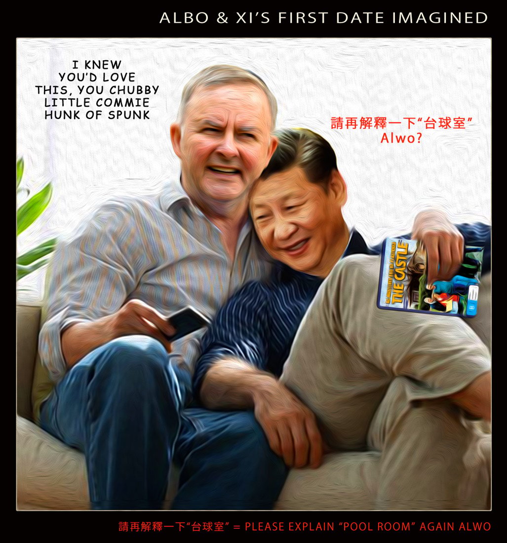 Albo and Xi — Polliedom cartoon by Peter Gillies