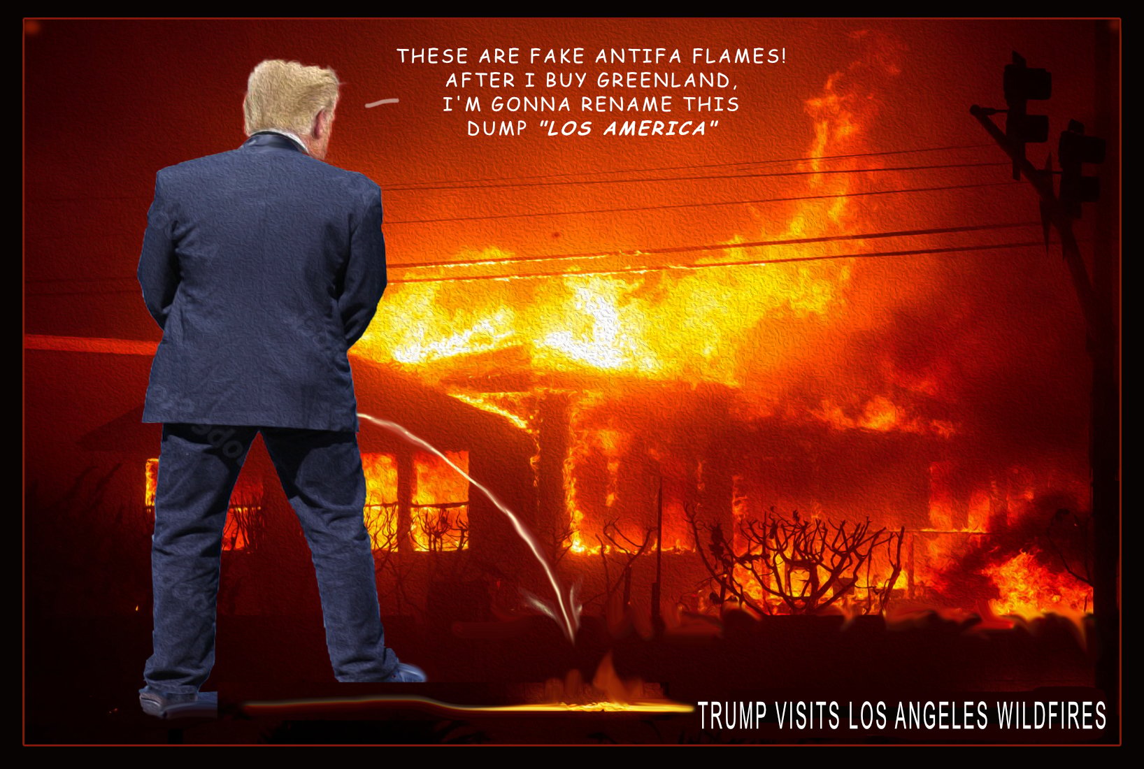 Los Angeles Wildfires — Polliedom cartoon by Peter Gillies