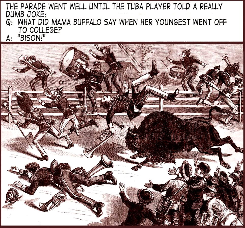 Buffalo Band — Recycled cartoon by Peter Gillies