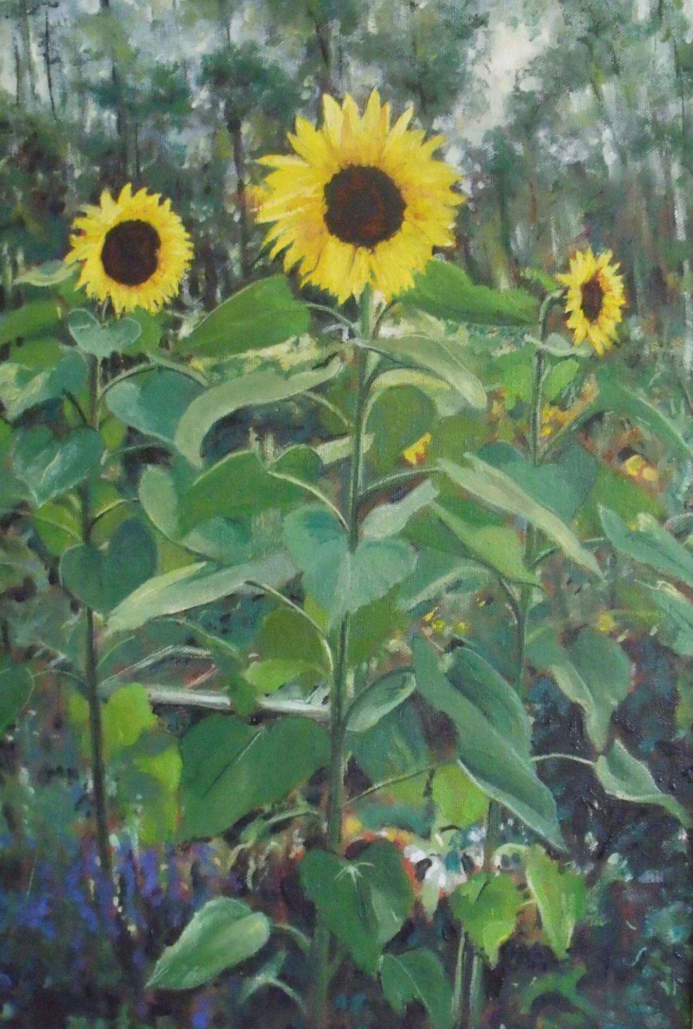 Nierinna — Paintings by Peter Gillies