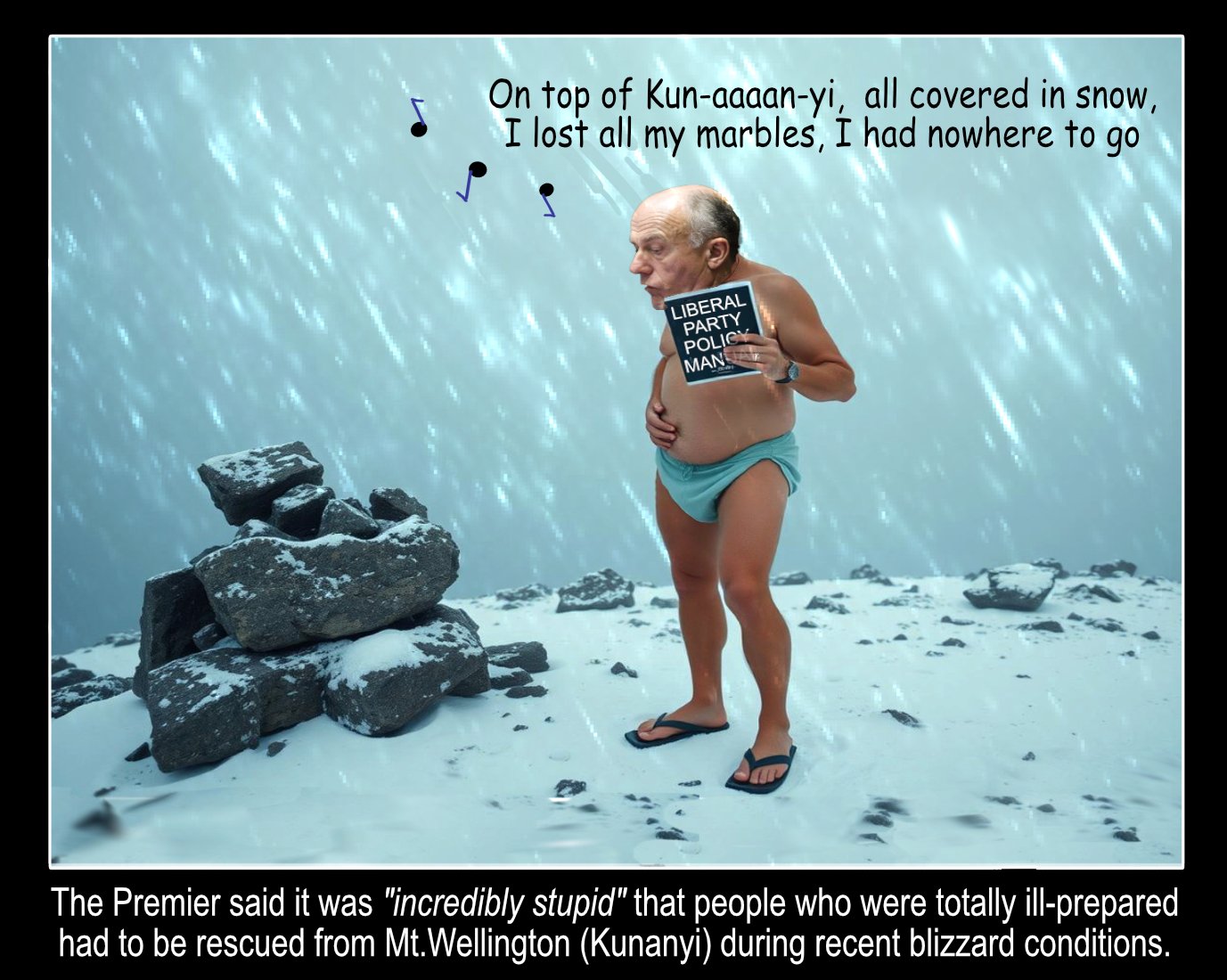 Blizzard — Polliedom cartoon by Peter Gillies