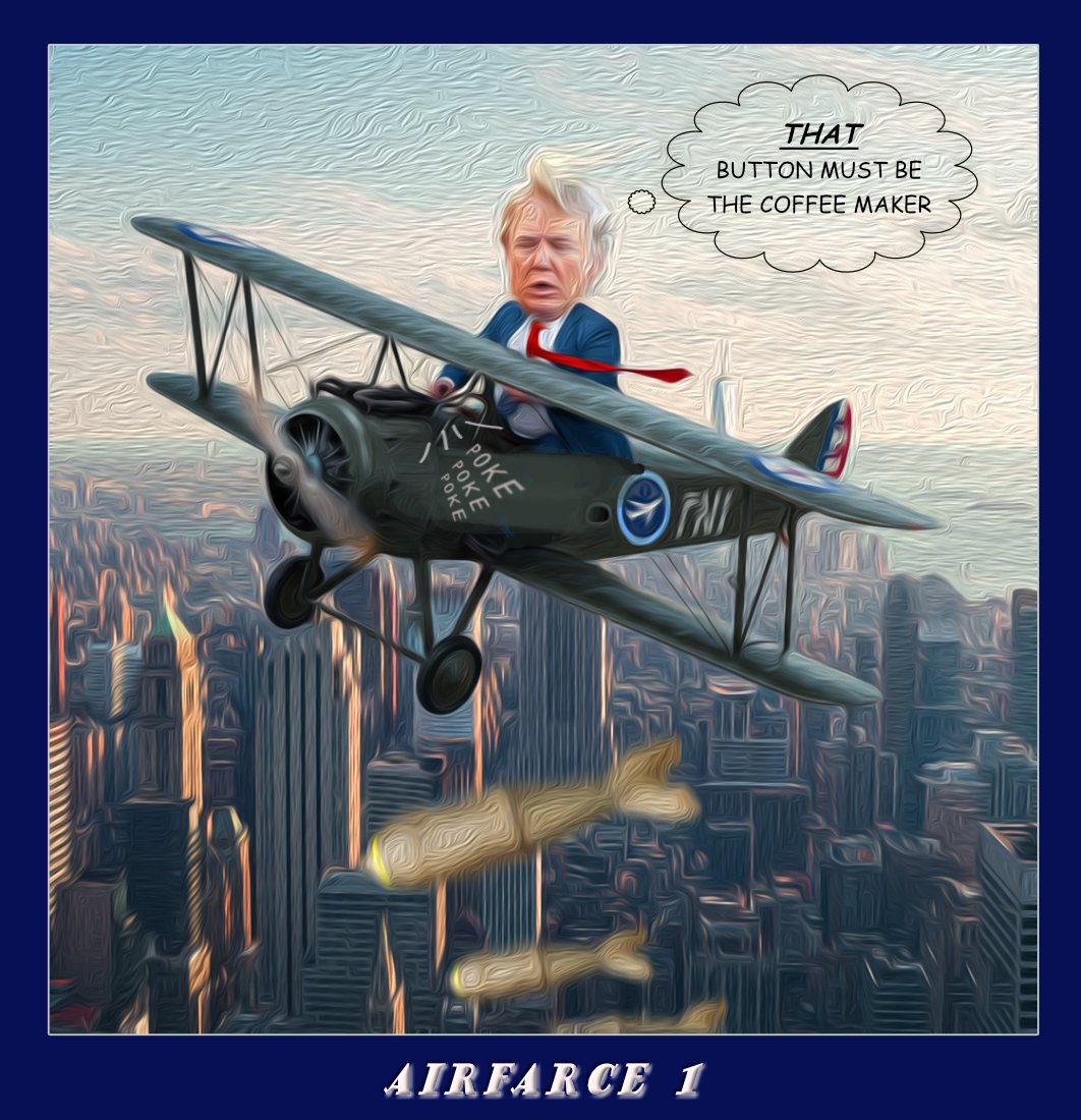 Airfarce 1 — Polliedom cartoon by Peter Gillies
