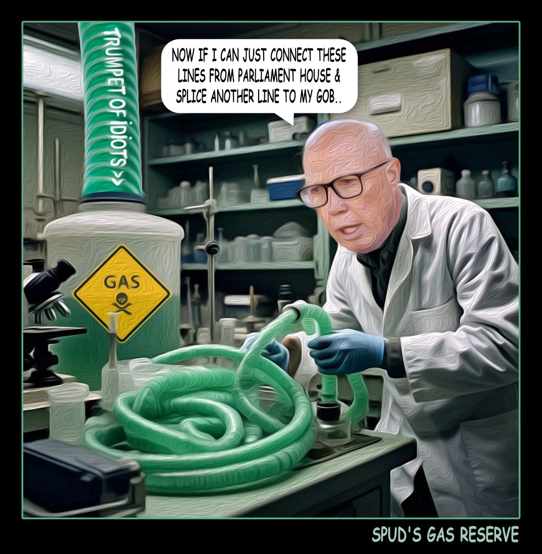It's A Gas, Gas, Gas — Polliedom cartoon by Peter Gillies