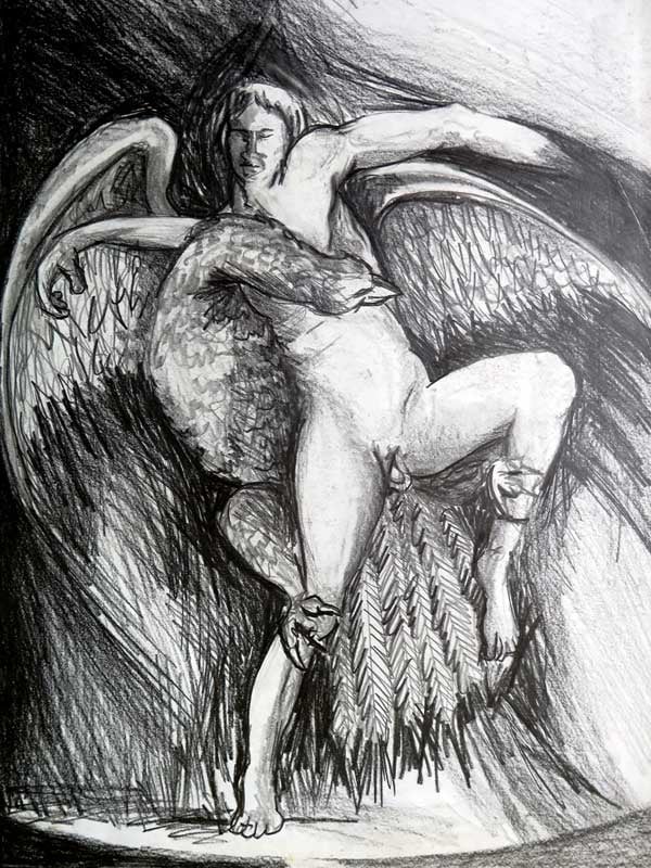 Ledo and Swan — Drawings by Peter Gillies