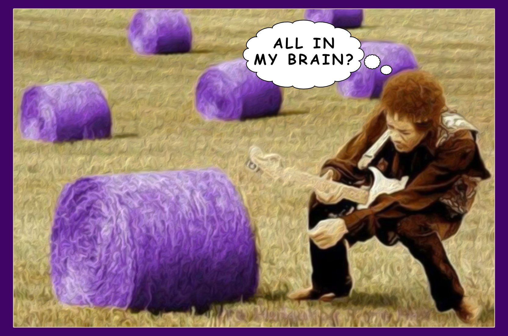 Purple Hays — Others cartoon by Peter Gillies